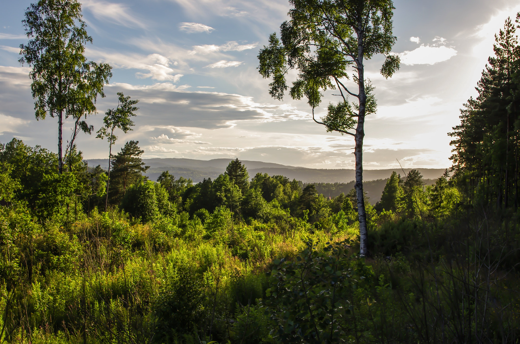Pentax smc DA 18-55mm F3.5-5.6 AL WR sample photo. Oh, the summer! photography