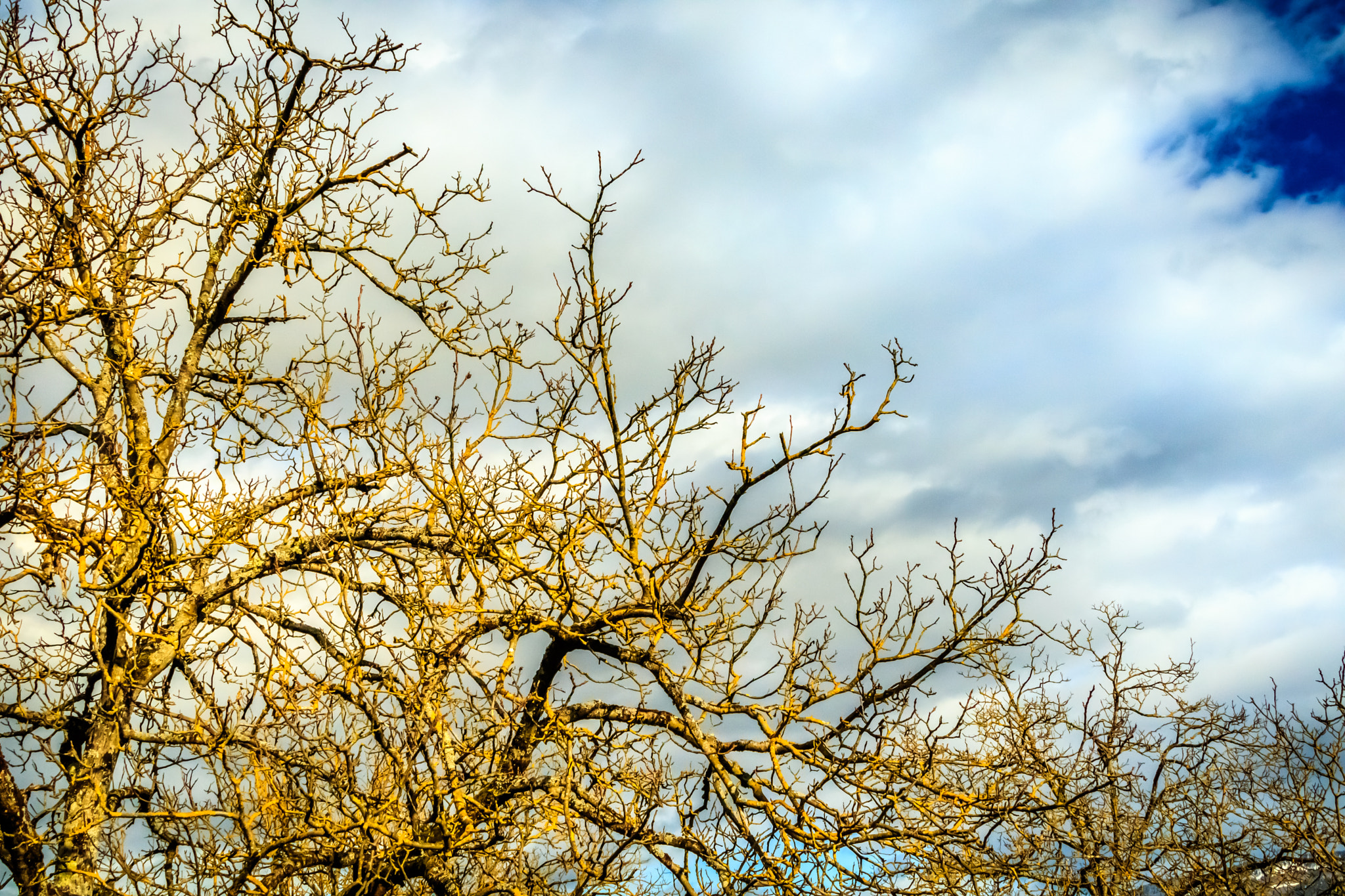Canon EF 24-85mm F3.5-4.5 USM sample photo. Vinay (isère - france) photography