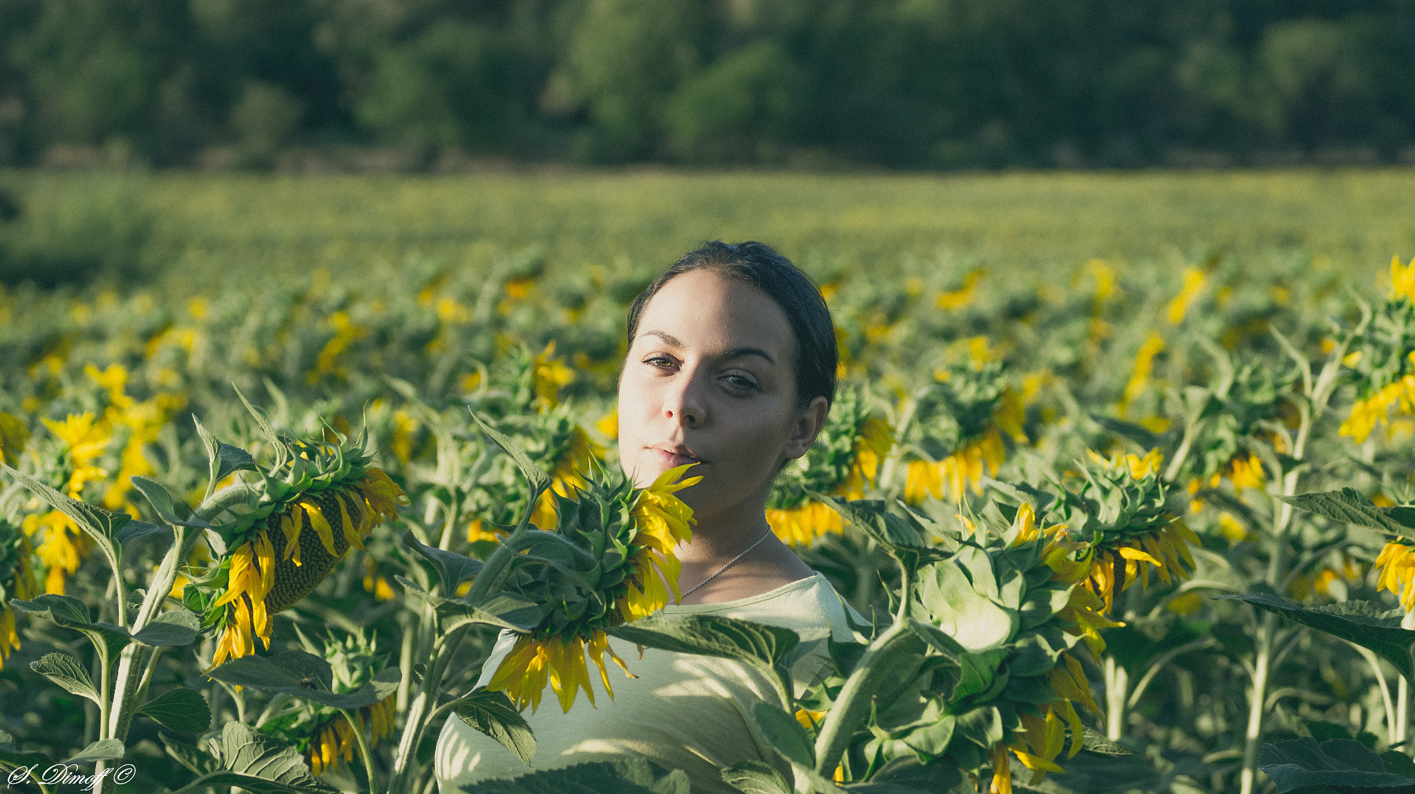 Sony SLT-A58 + Tamron SP 70-300mm F4-5.6 Di USD sample photo. Manuela and the sunflowers photography