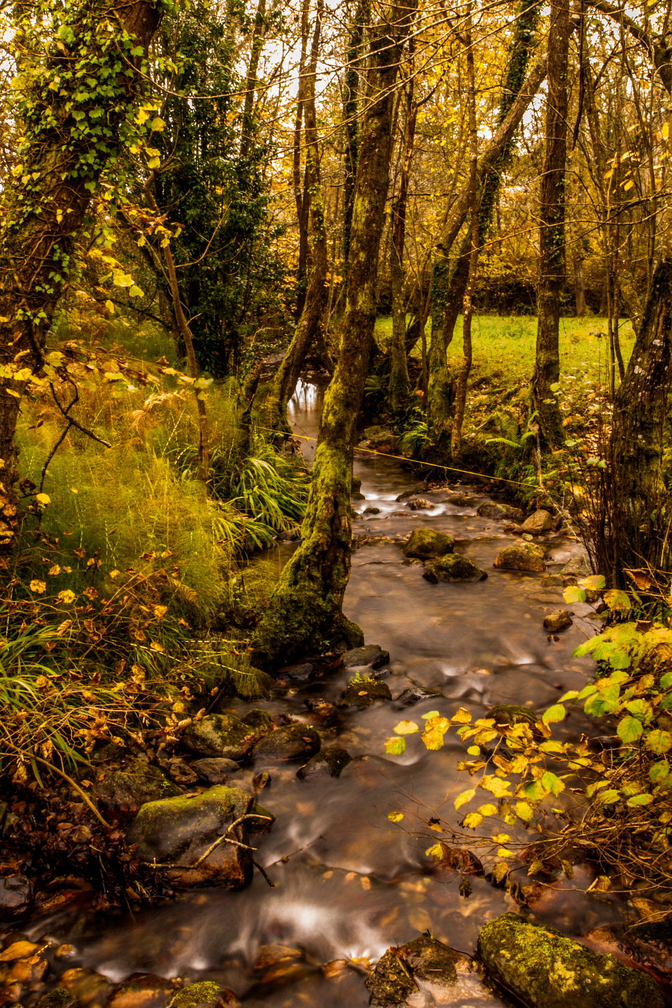 Sony Alpha DSLR-A700 sample photo. Asturias photography