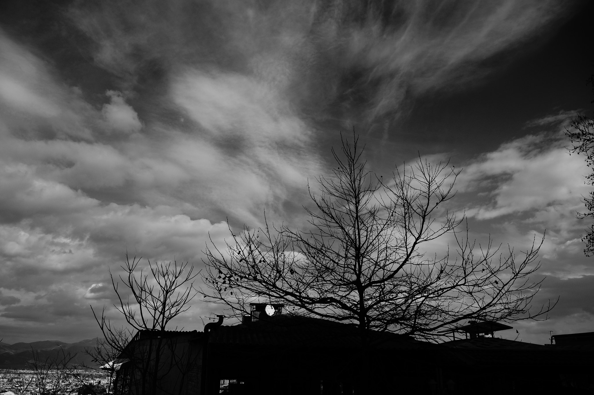 Sony SLT-A37 sample photo. Siyahta beyaz... photography