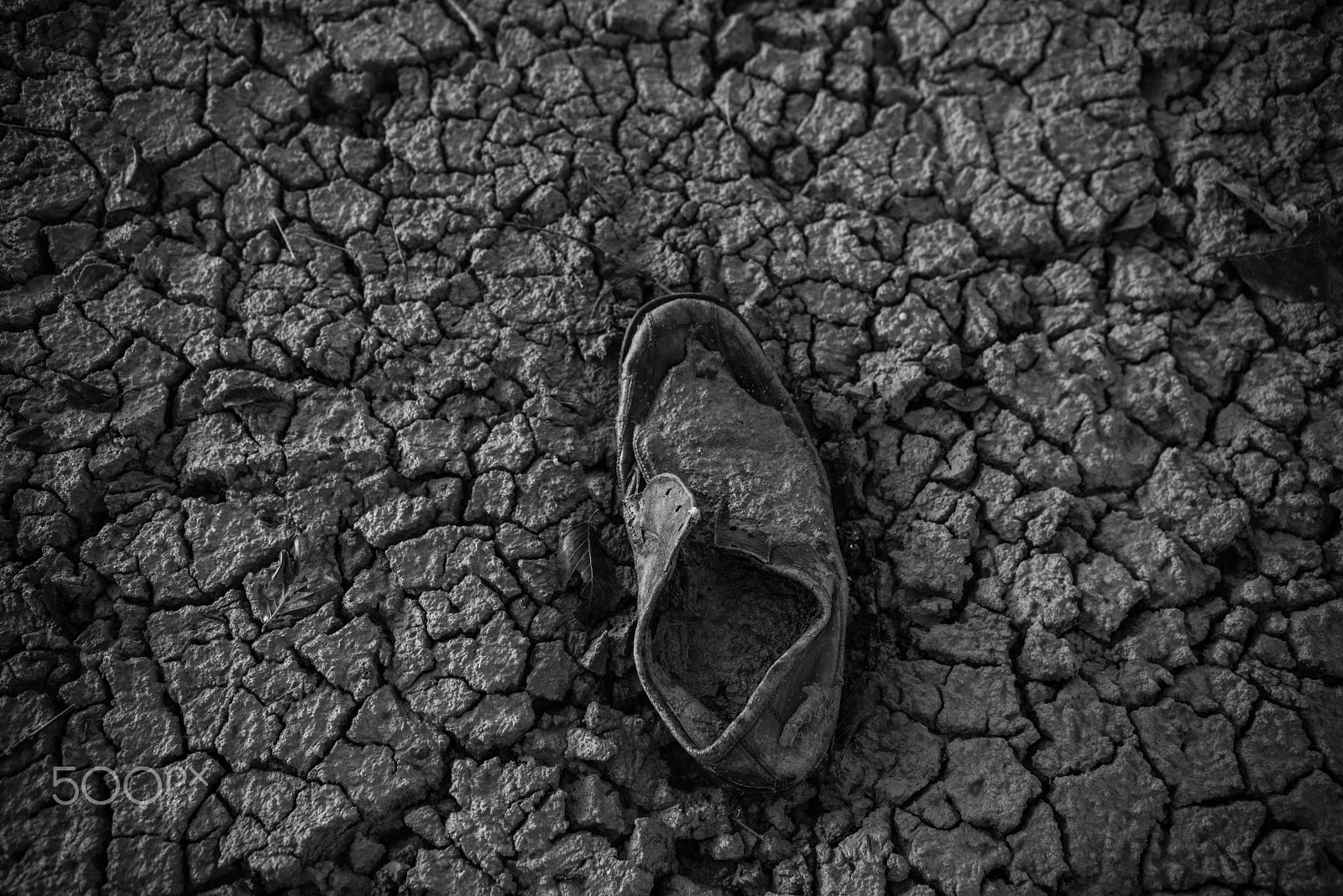 Nikon D750 + Sigma 18-35mm F1.8 DC HSM Art sample photo. Shoe in mud photography