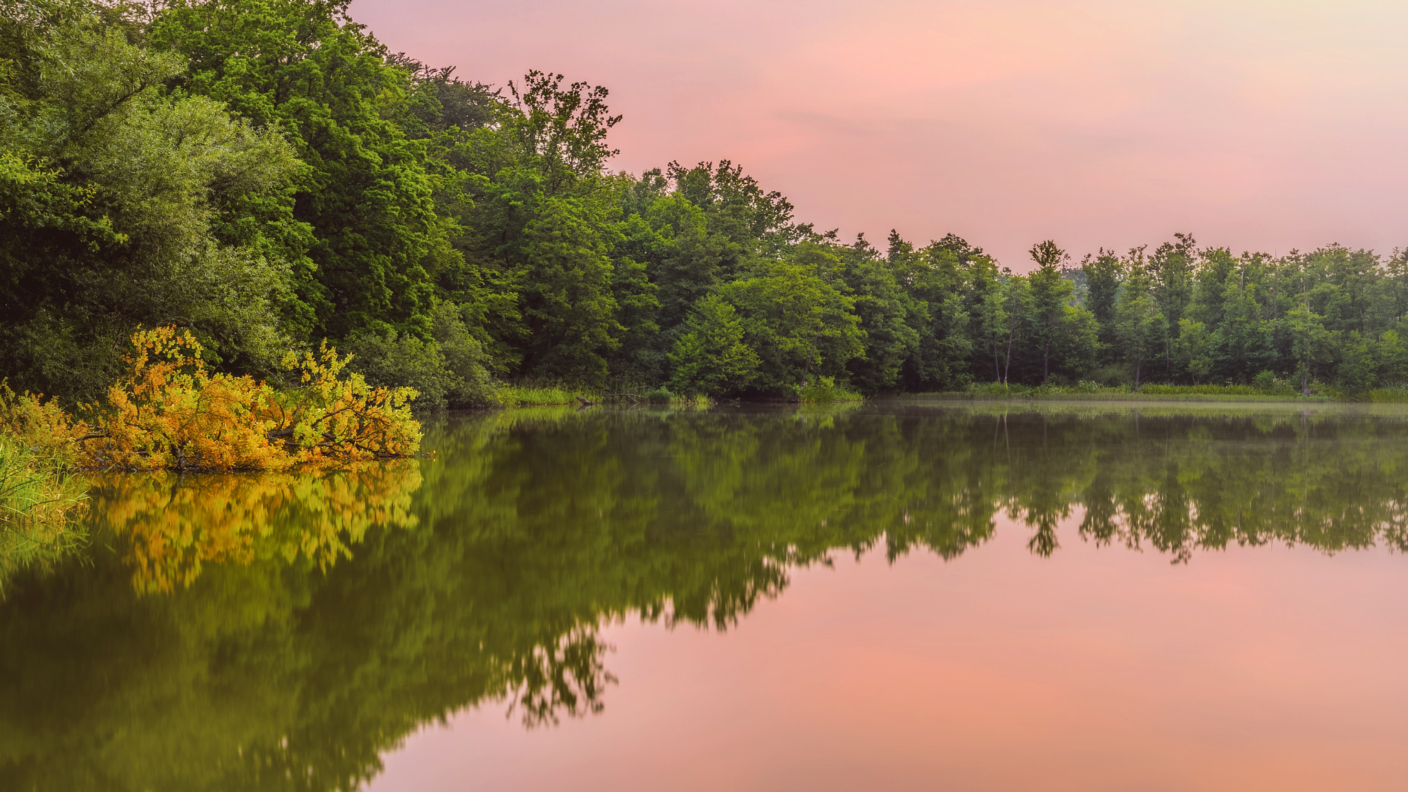 Pentax K-3 sample photo. By the pond. photography