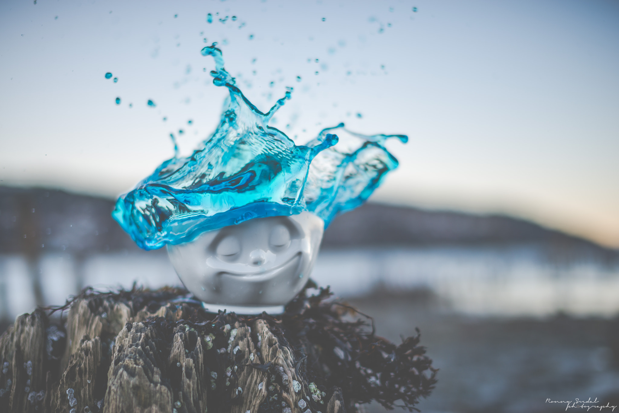 Nikon D800 sample photo. Cup of blue photography