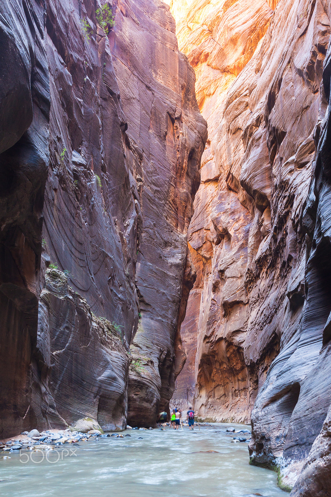 Canon EOS 500D (EOS Rebel T1i / EOS Kiss X3) sample photo. The narrows, zion national park photography