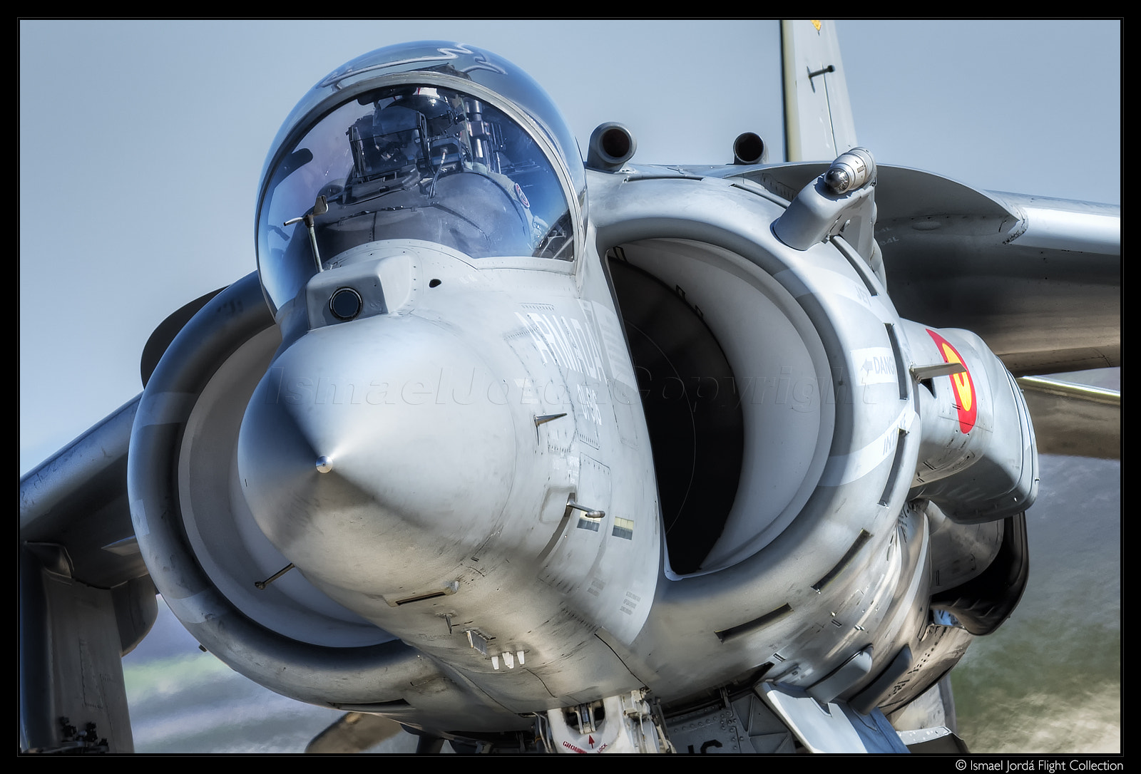 Nikon AF-S Nikkor 300mm F2.8G ED VR II sample photo. Harrier - armada española (2016) photography
