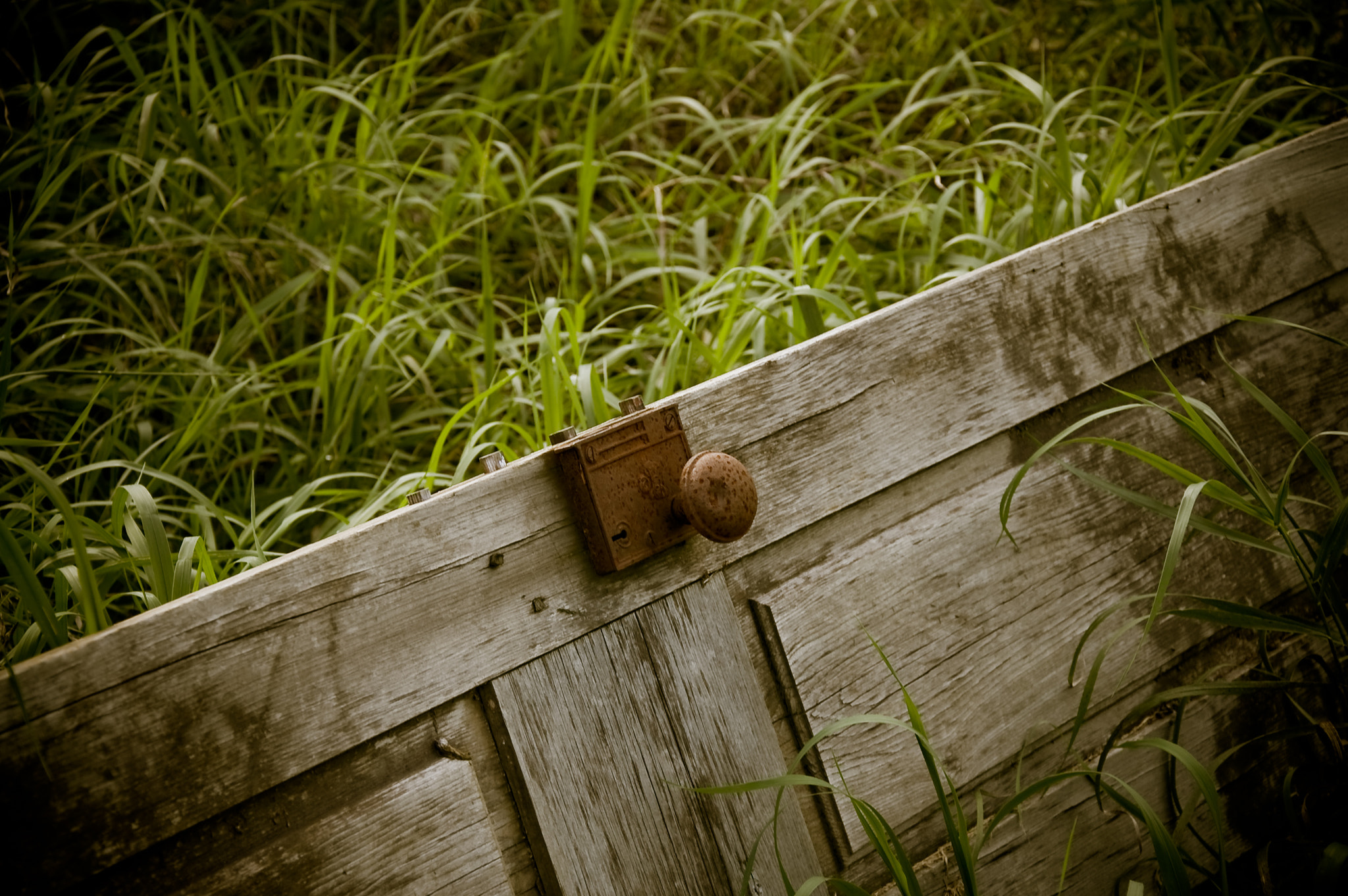 Nikon D50 sample photo. Door to.... photography