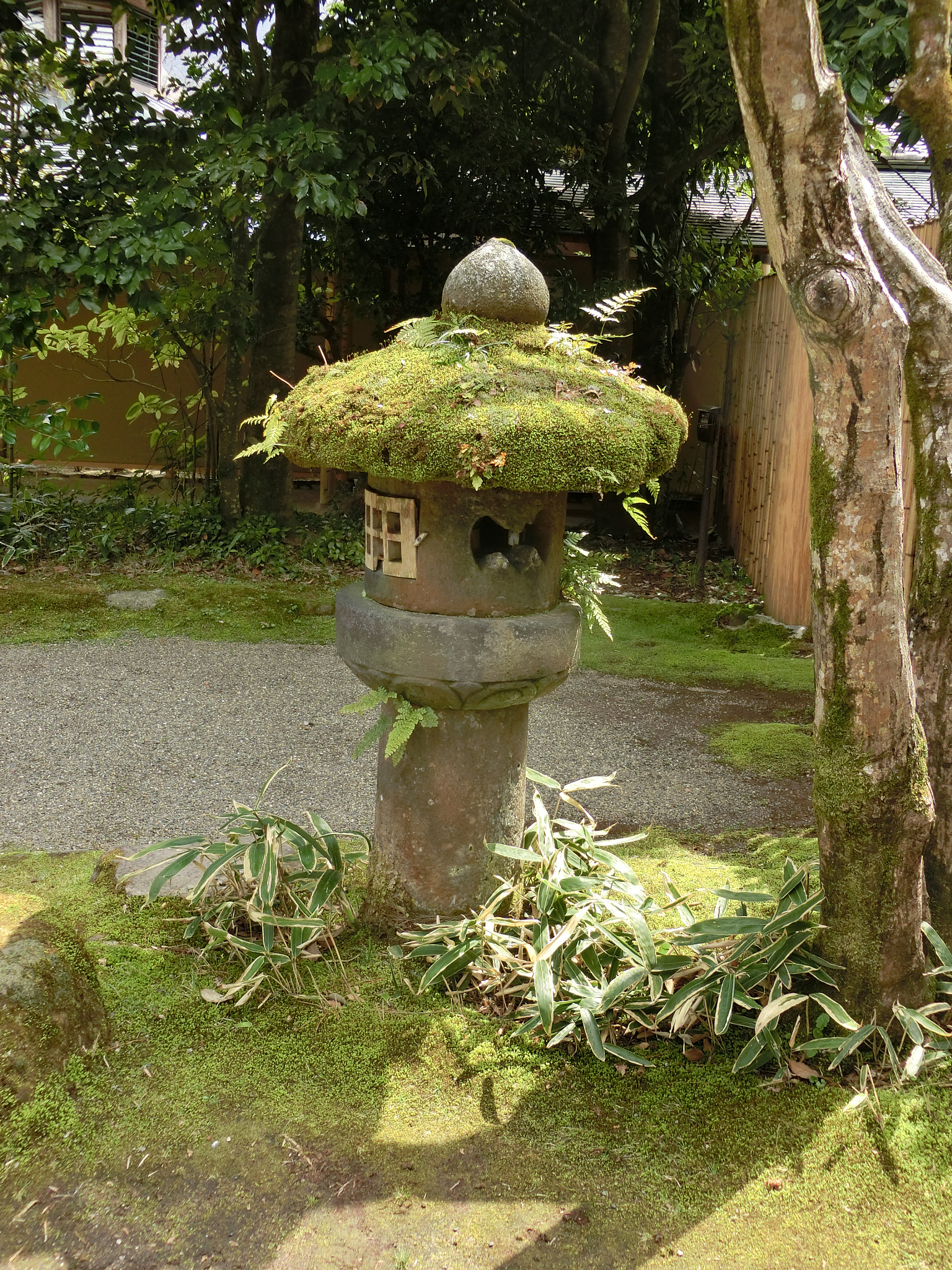 CASIO EX-ZR850 sample photo. 由布 photography