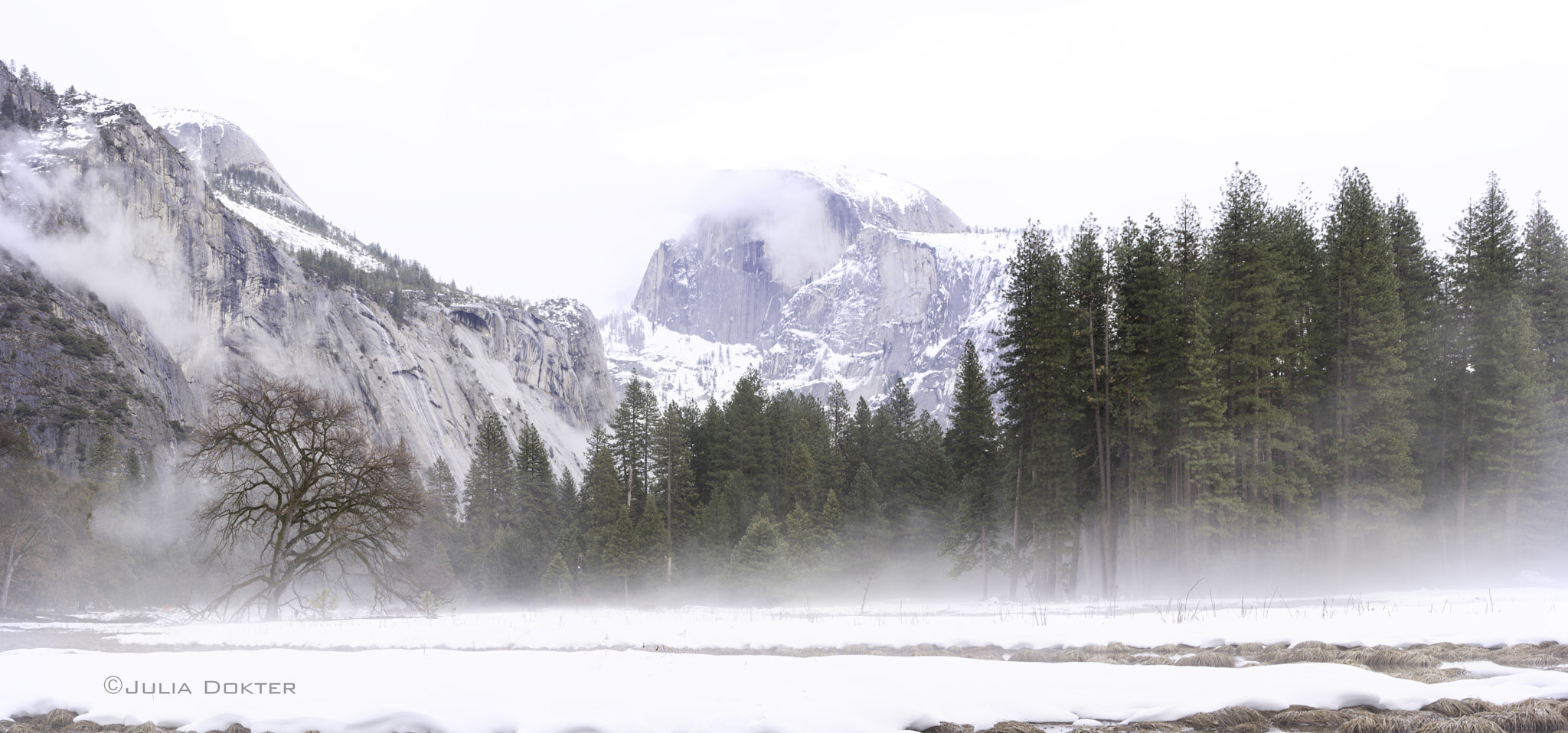 Tamron SP 70-200mm F2.8 Di VC USD sample photo. Half dome pano photography