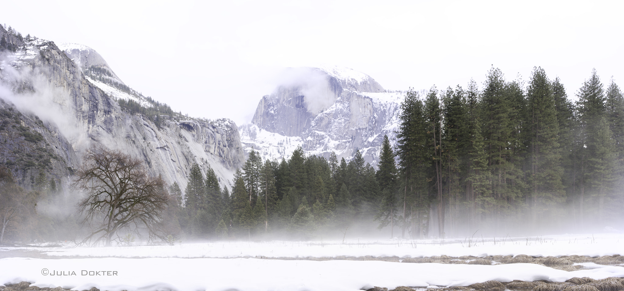 Nikon D810 + Tamron SP 70-200mm F2.8 Di VC USD sample photo. Half dome pano photography