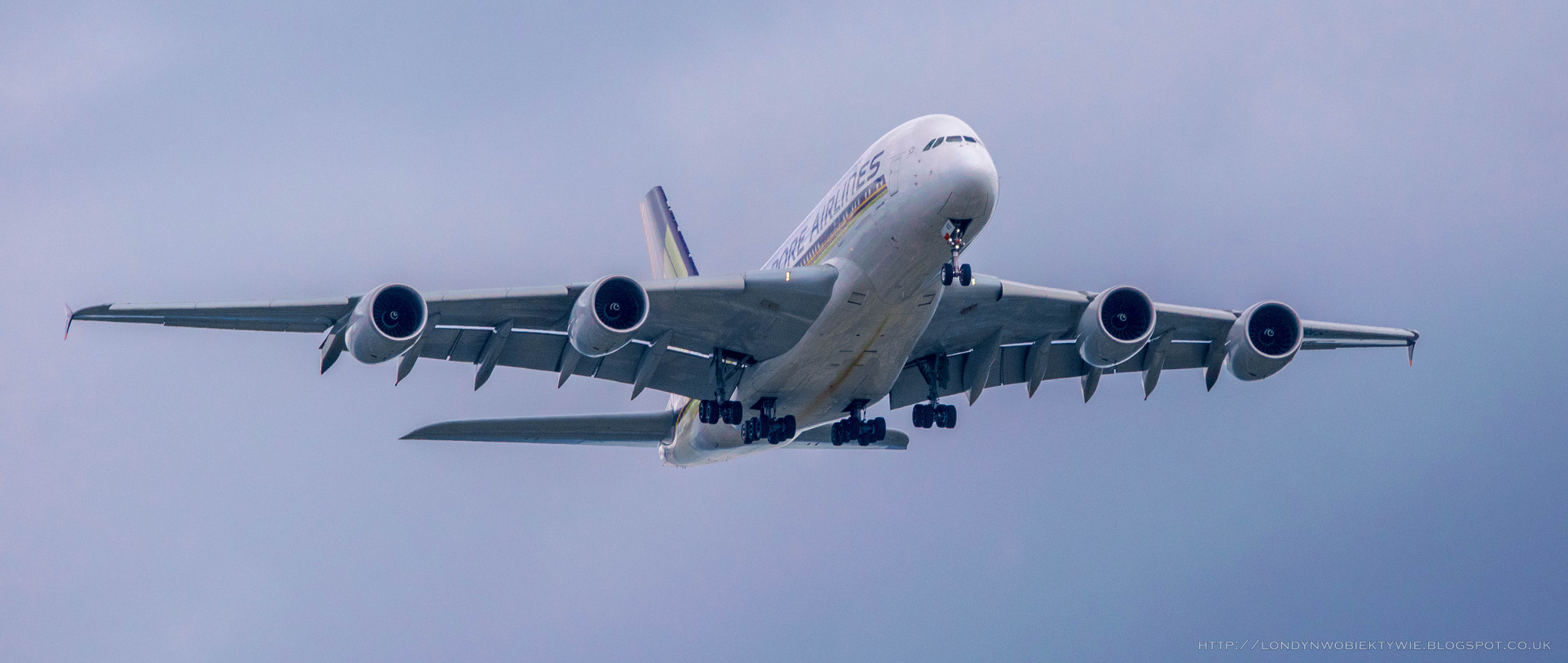 Sigma 150-600mm F5-6.3 DG OS HSM | C sample photo. Dsc photography