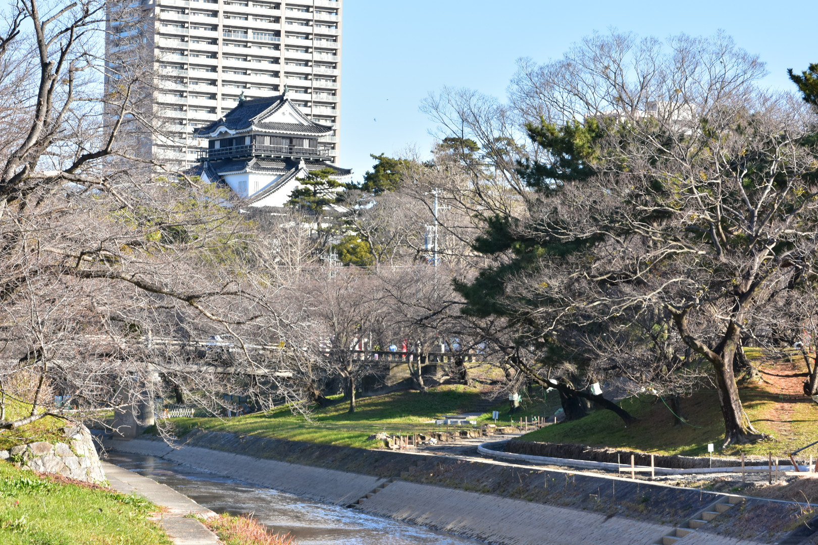 Nikon AF-S DX Micro-Nikkor 85mm F3.5G ED VR sample photo. Winter in park  photography