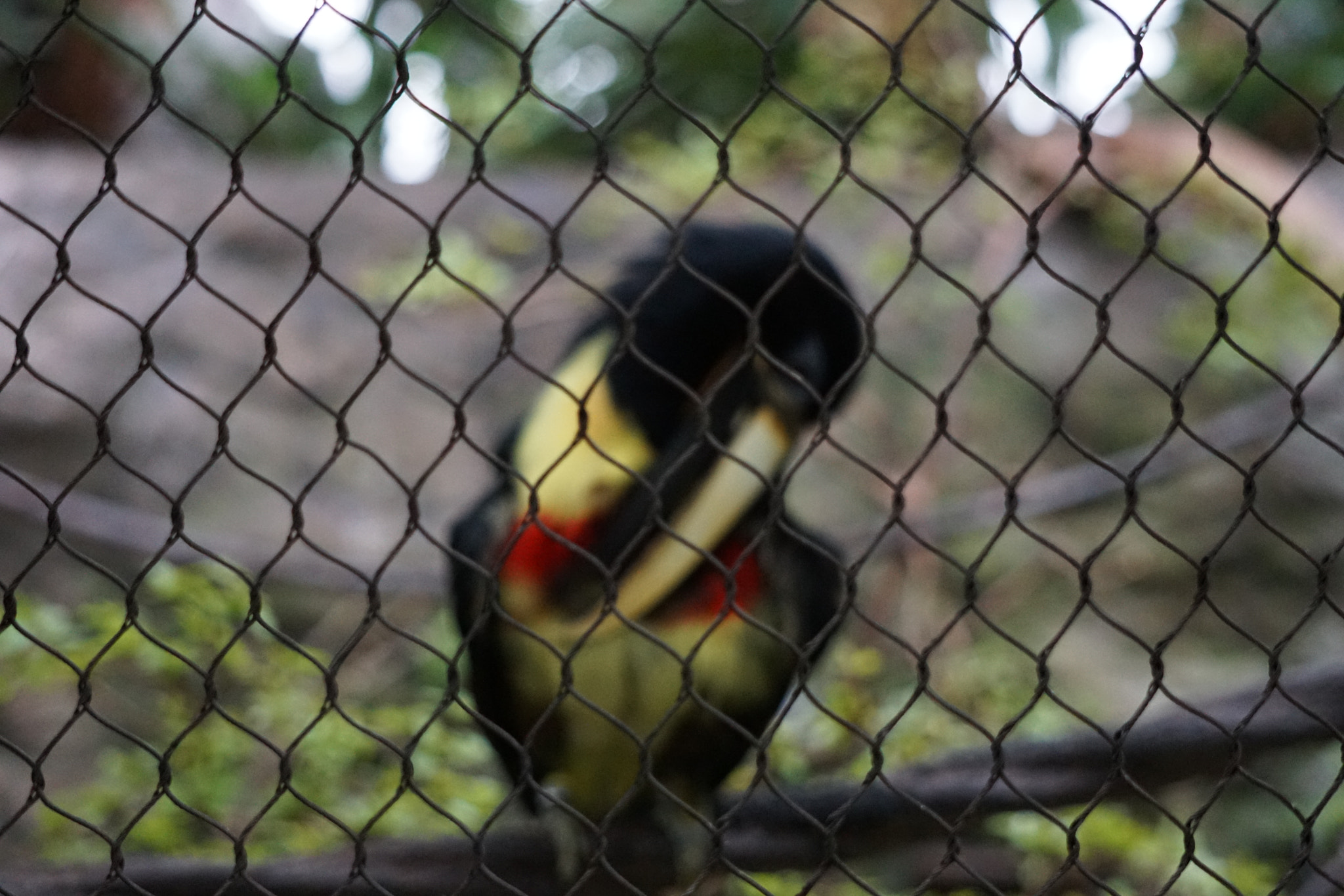 Sony FE 24-240mm F3.5-6.3 OSS sample photo. Locked up photography