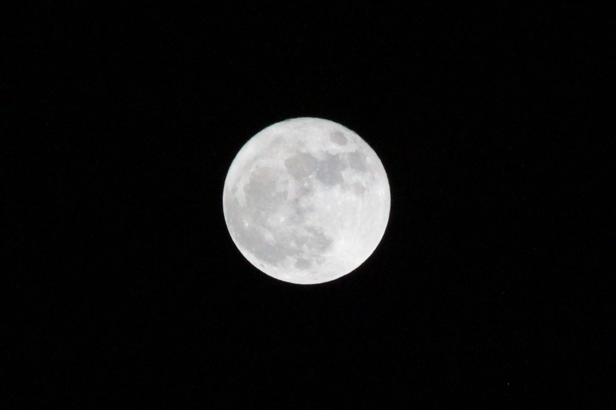 Canon EOS 1100D (EOS Rebel T3 / EOS Kiss X50) sample photo. Super moon photography