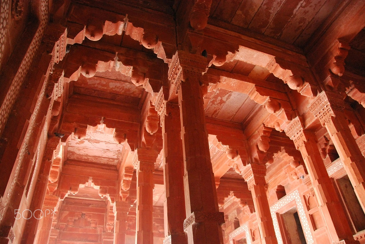 Nikon D60 sample photo. The light of agra fort photography