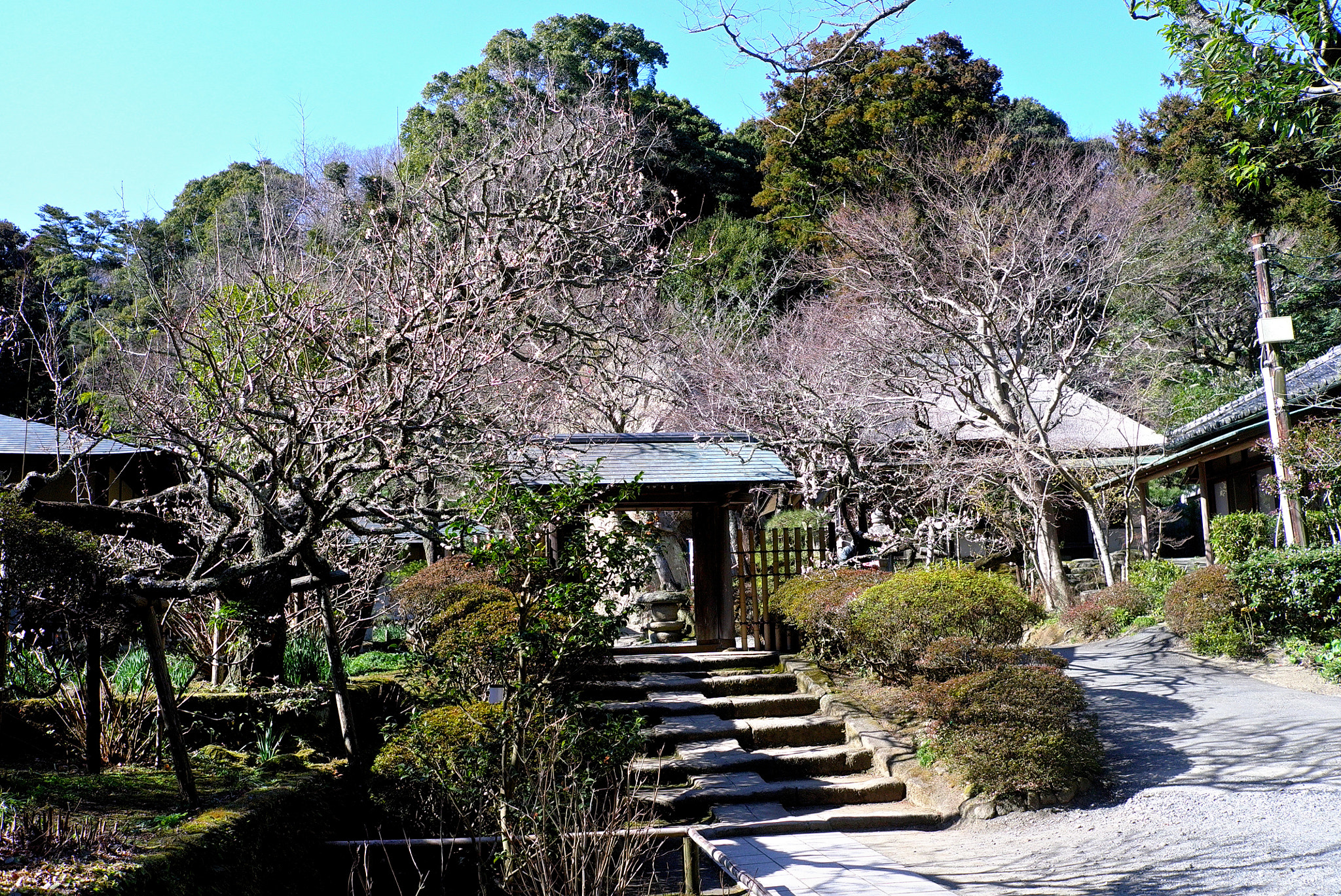 Leica X1 sample photo. Kamakura temple photography