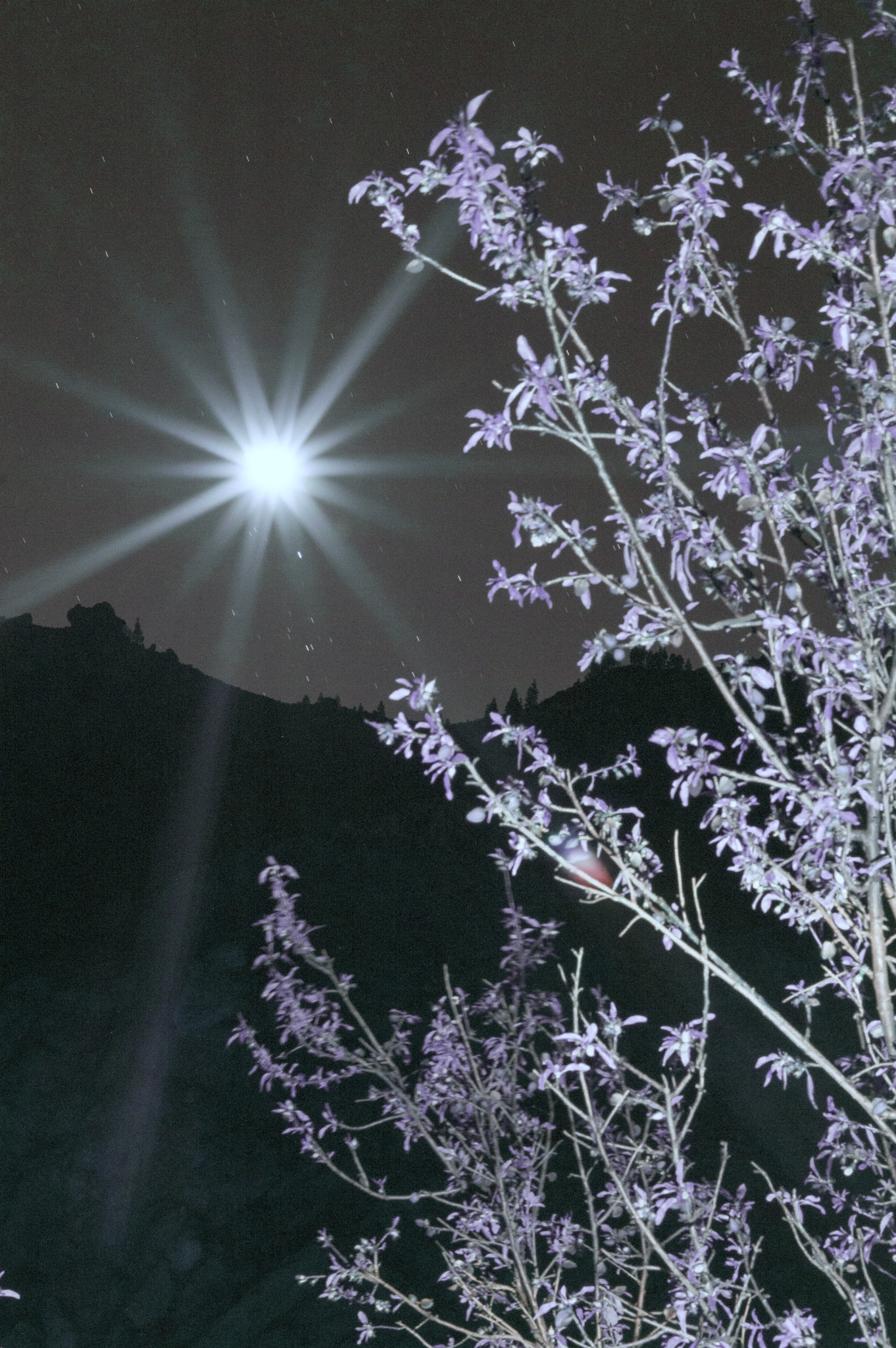 Nikon D3200 sample photo. Moon rays photography