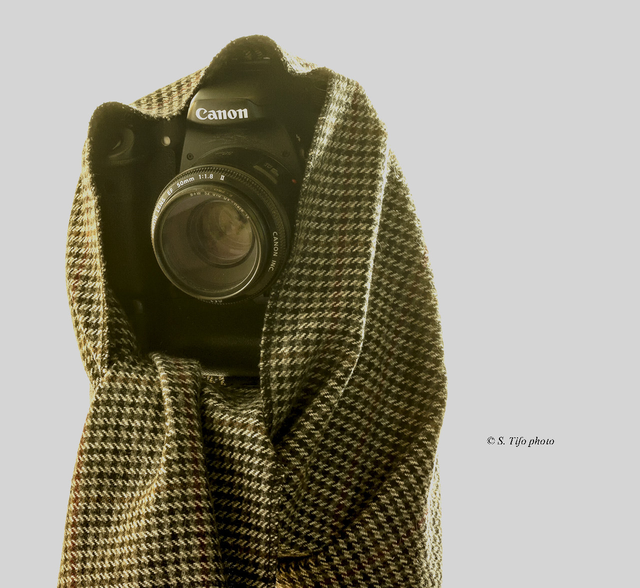 Canon EF-S 60mm F2.8 Macro USM sample photo. Hidden camera .. lol .. photography