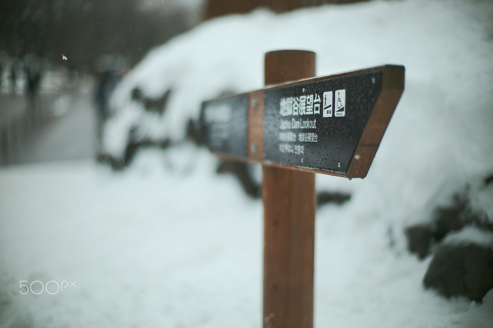 Leica M9 + Noctilux-M 50mm f/1 sample photo. Snow photography