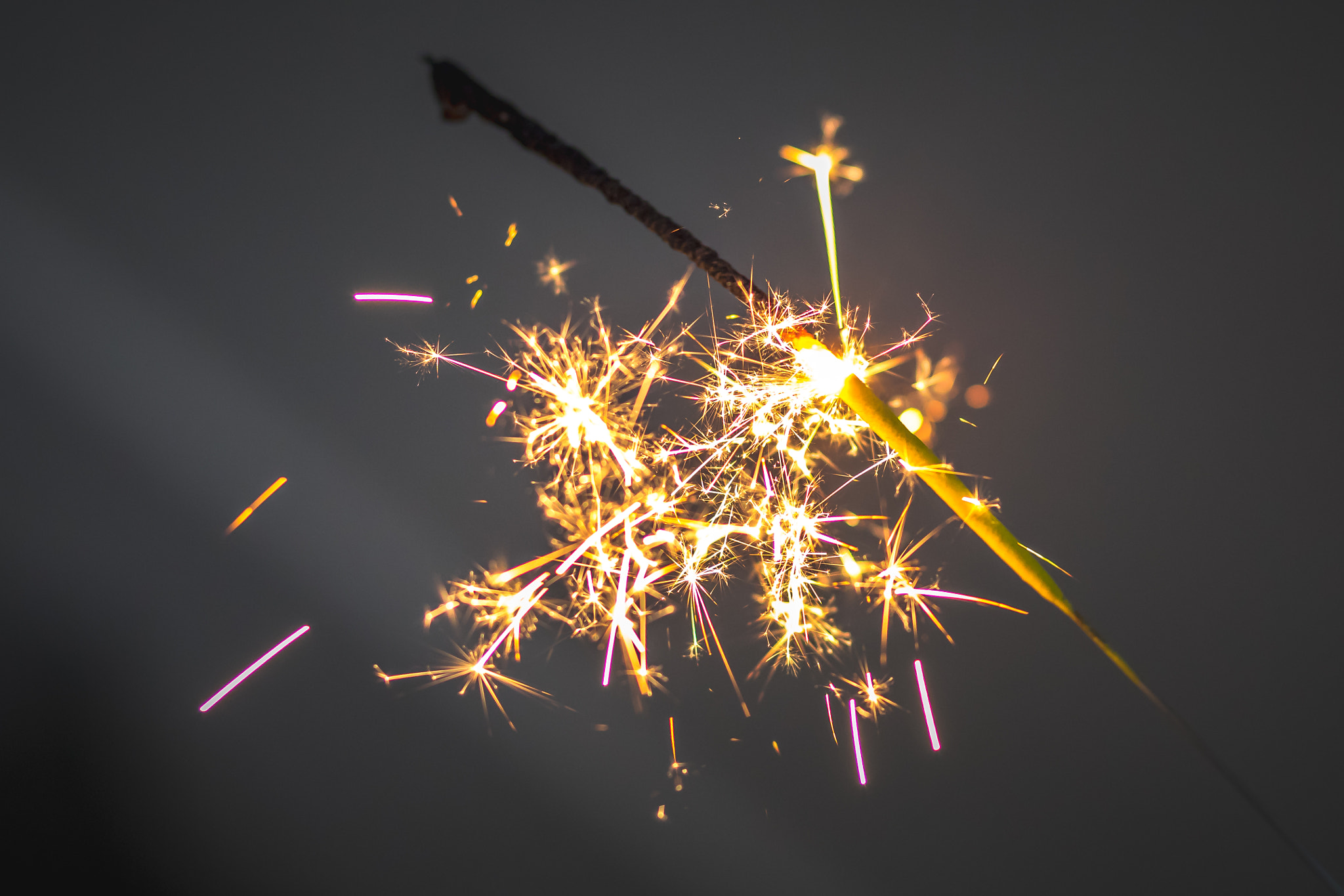 Canon EF 85mm F1.8 USM sample photo. Sparkle photography