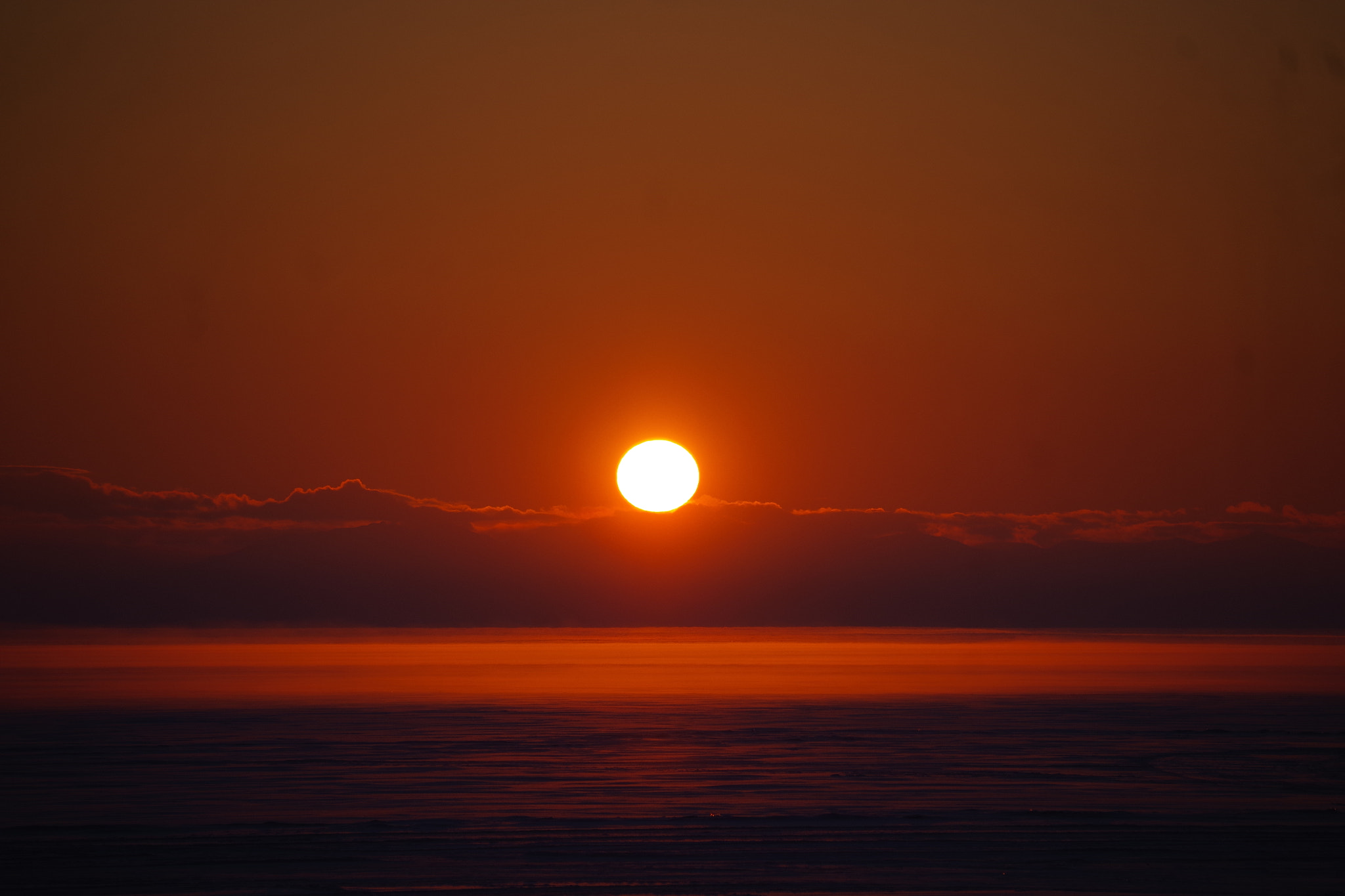 smc Pentax-DA L 50-200mm F4-5.6 ED WR sample photo. Листвянка photography