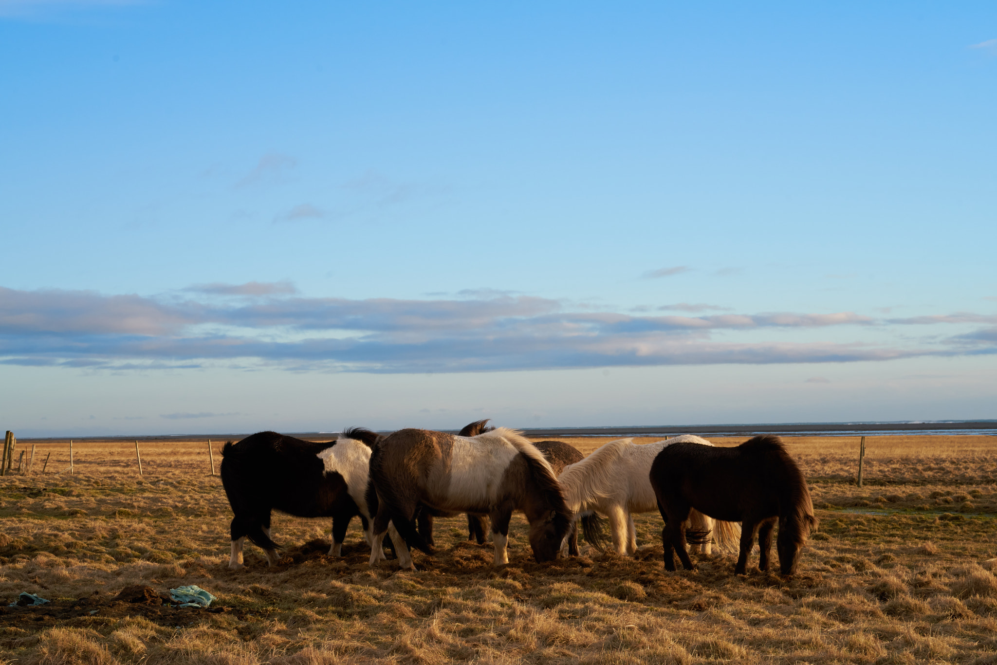 Sony FE 70-300mm F4.5-5.6 G OSS sample photo. Iceland photography