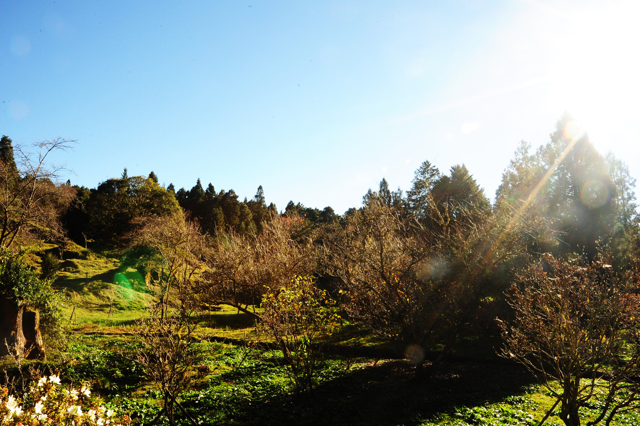 Nikon D3S sample photo. Breeze photography