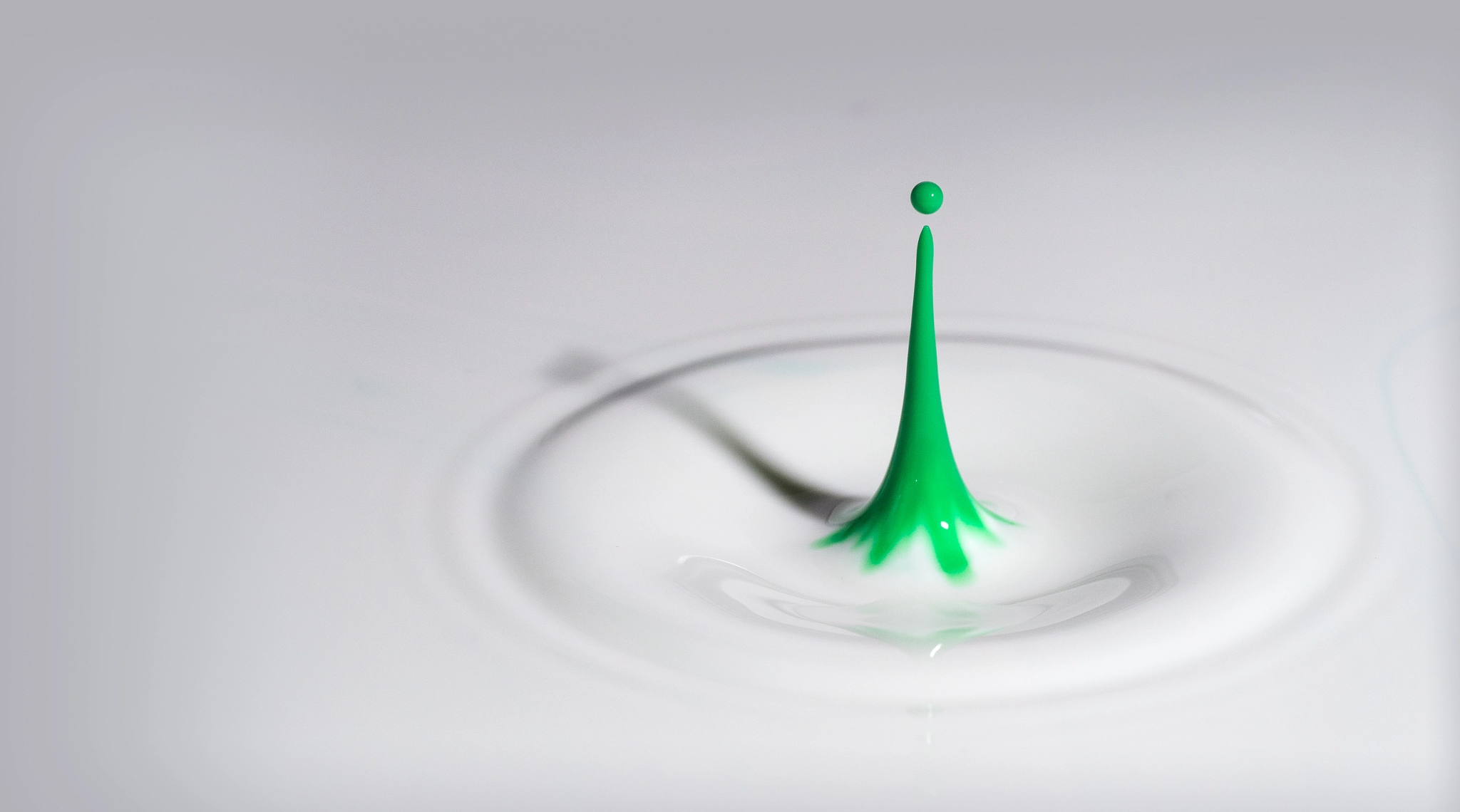 Olympus M.Zuiko Digital ED 60mm F2.8 Macro sample photo. Green drop photography