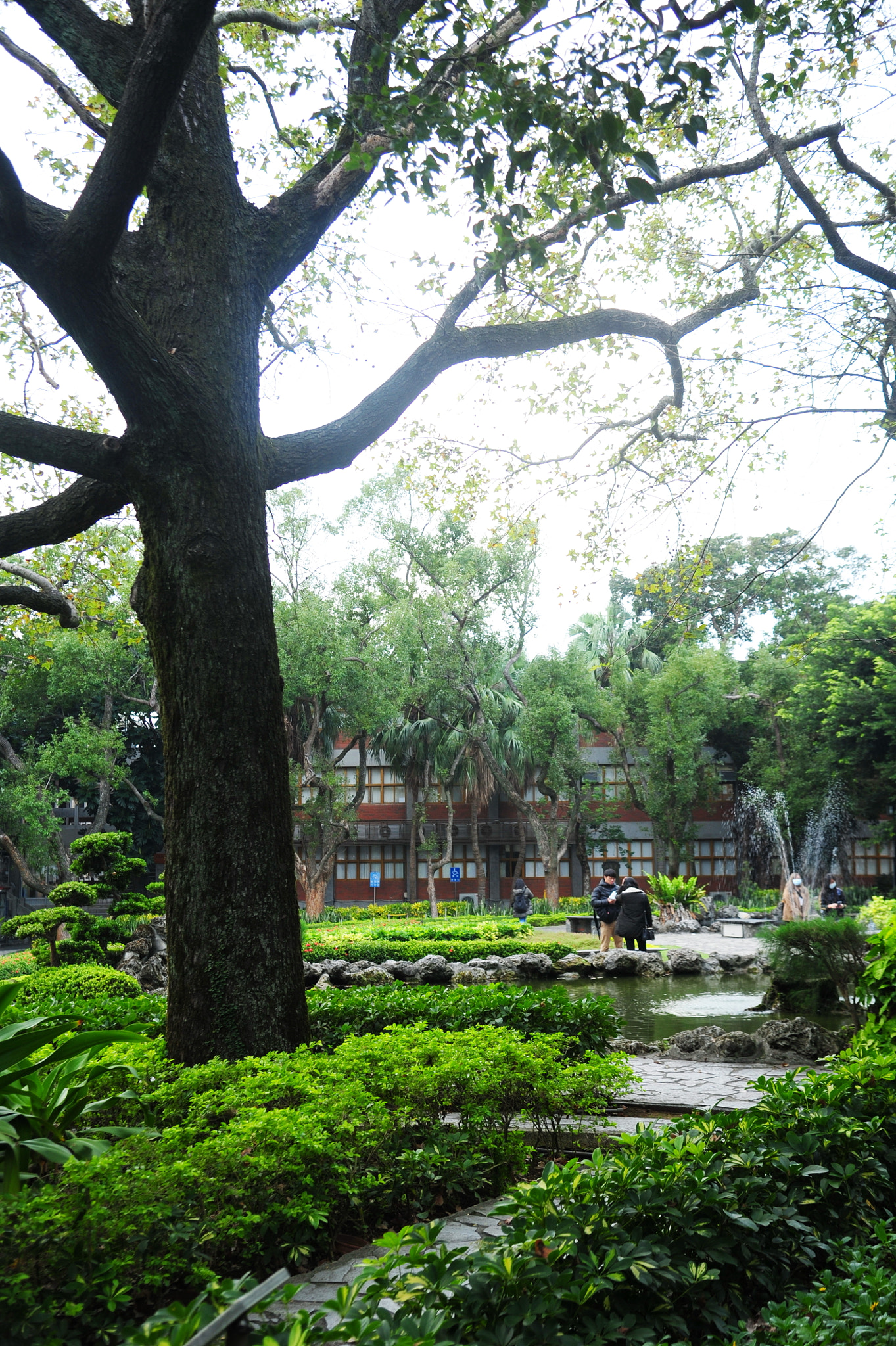 Nikon D3S sample photo. Emerald photography