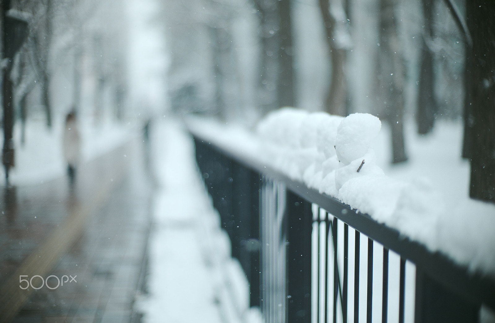 Leica M9 + Noctilux-M 50mm f/1 sample photo. Snow photography