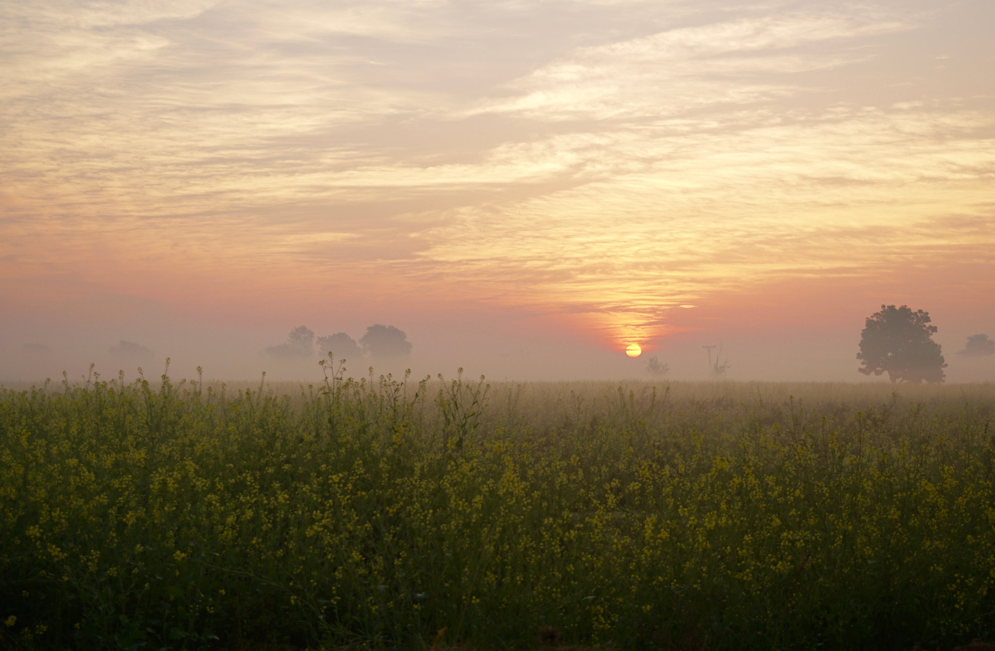 Sony E 18-55mm F3.5-5.6 OSS sample photo. Nice morning photography