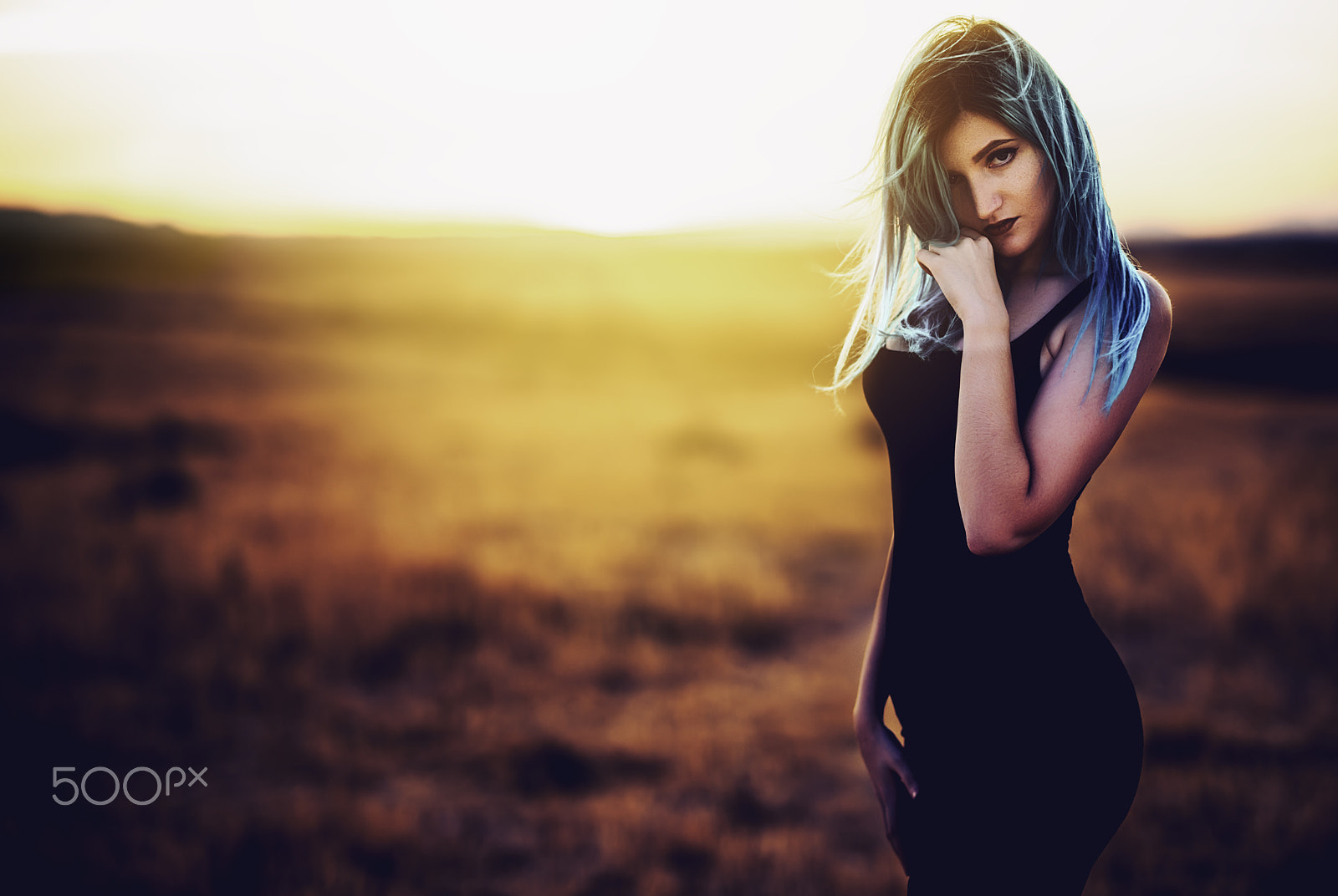 Sony a7R + Sony FE 85mm F1.4 GM sample photo. N0rte photography