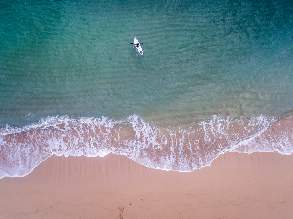 The Paddle Surfer by Kelly Headrick on 500px.com