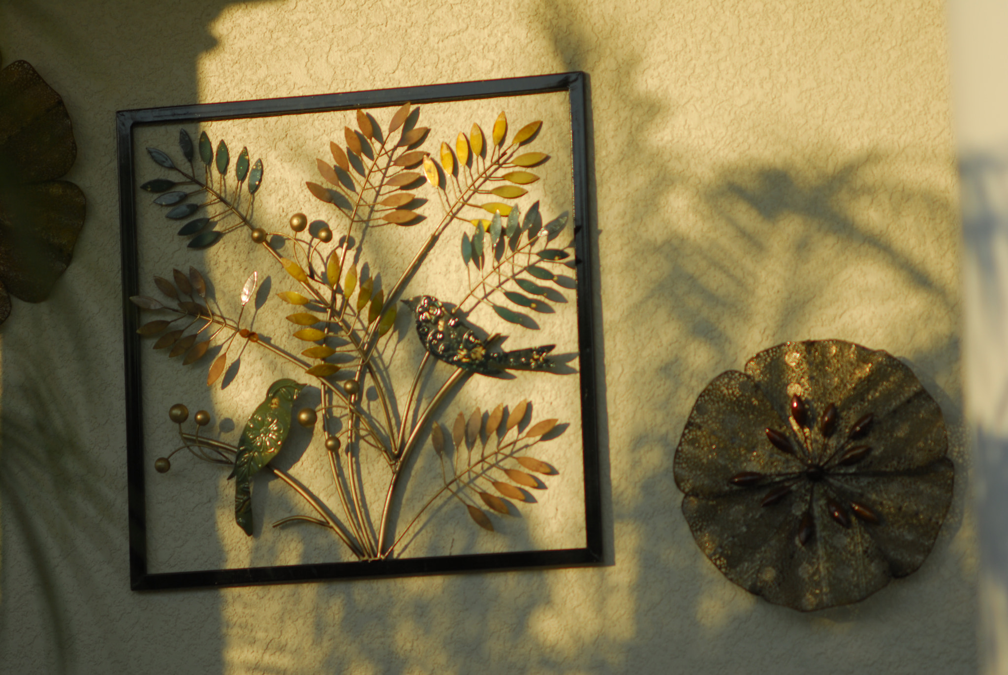 Nikon D200 sample photo. Plaques and shadows photography