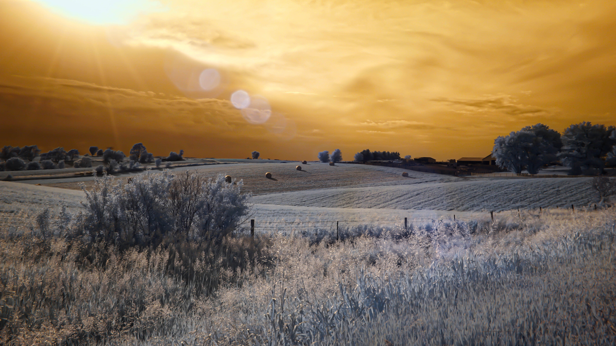 Sony a6000 sample photo. An iowa infrared countryside photography