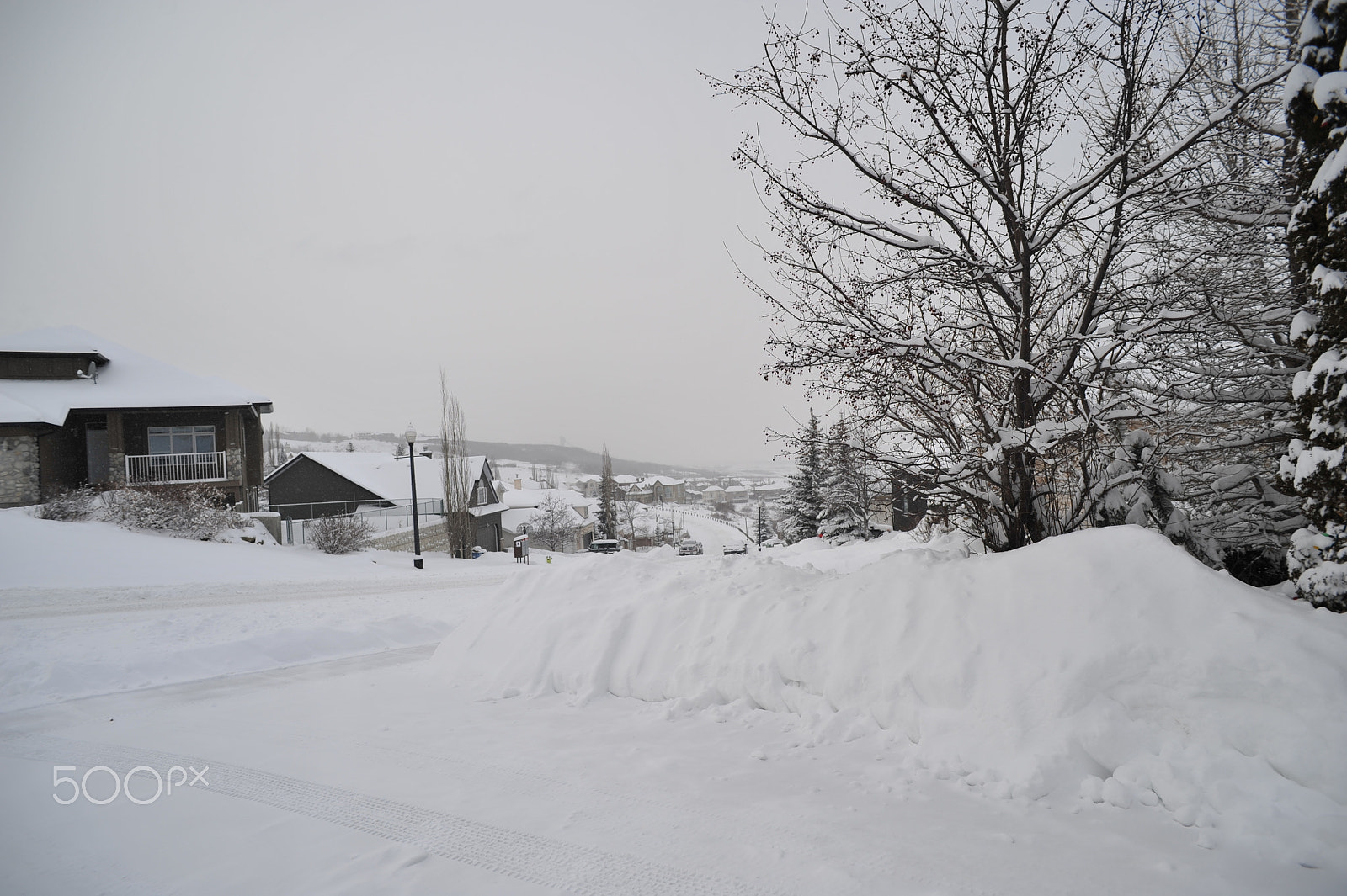 AF Nikkor 20mm f/2.8 sample photo. Winter wonderland photography