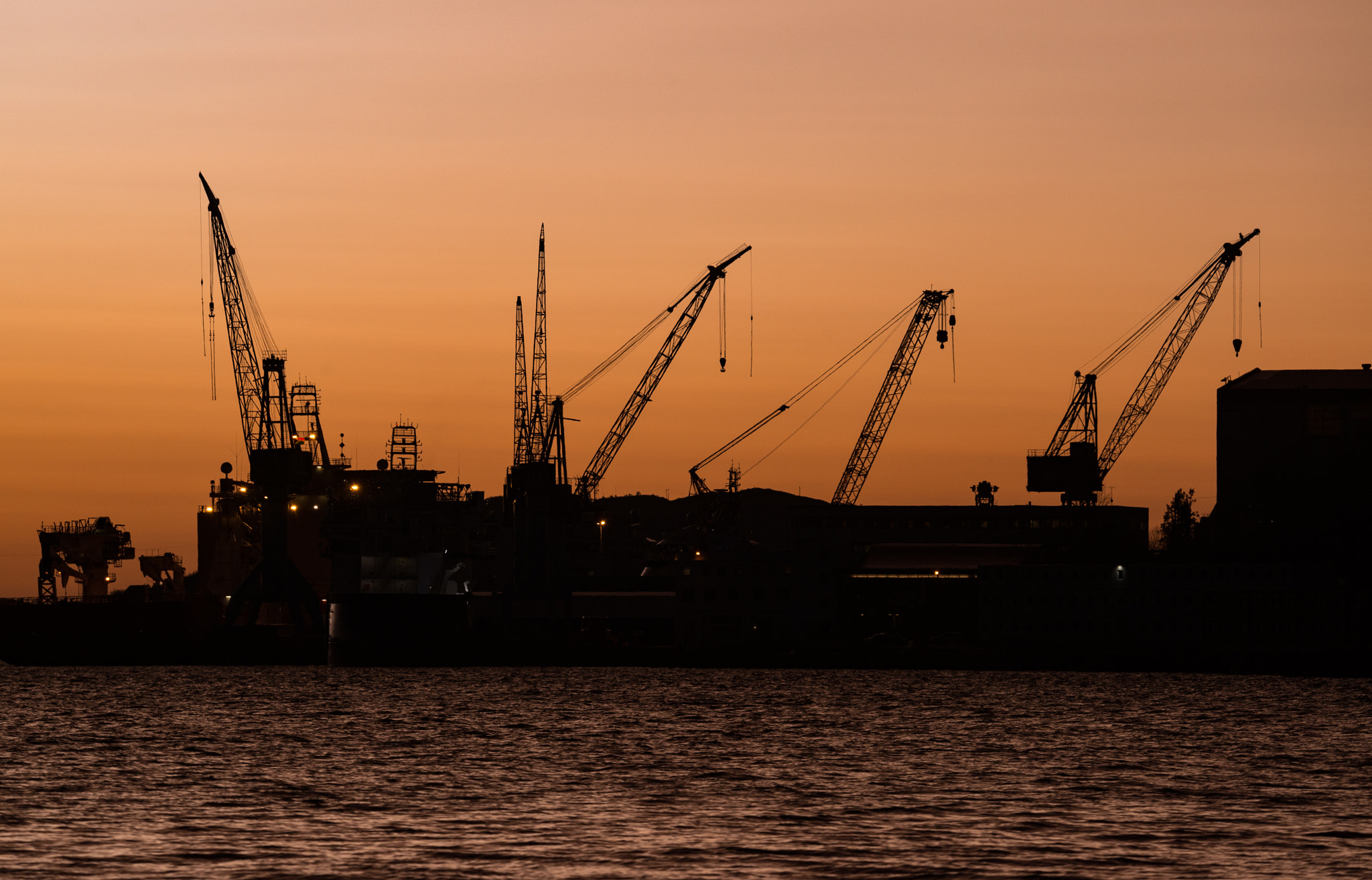 Nikon D800 sample photo. Cranes in the sunset photography