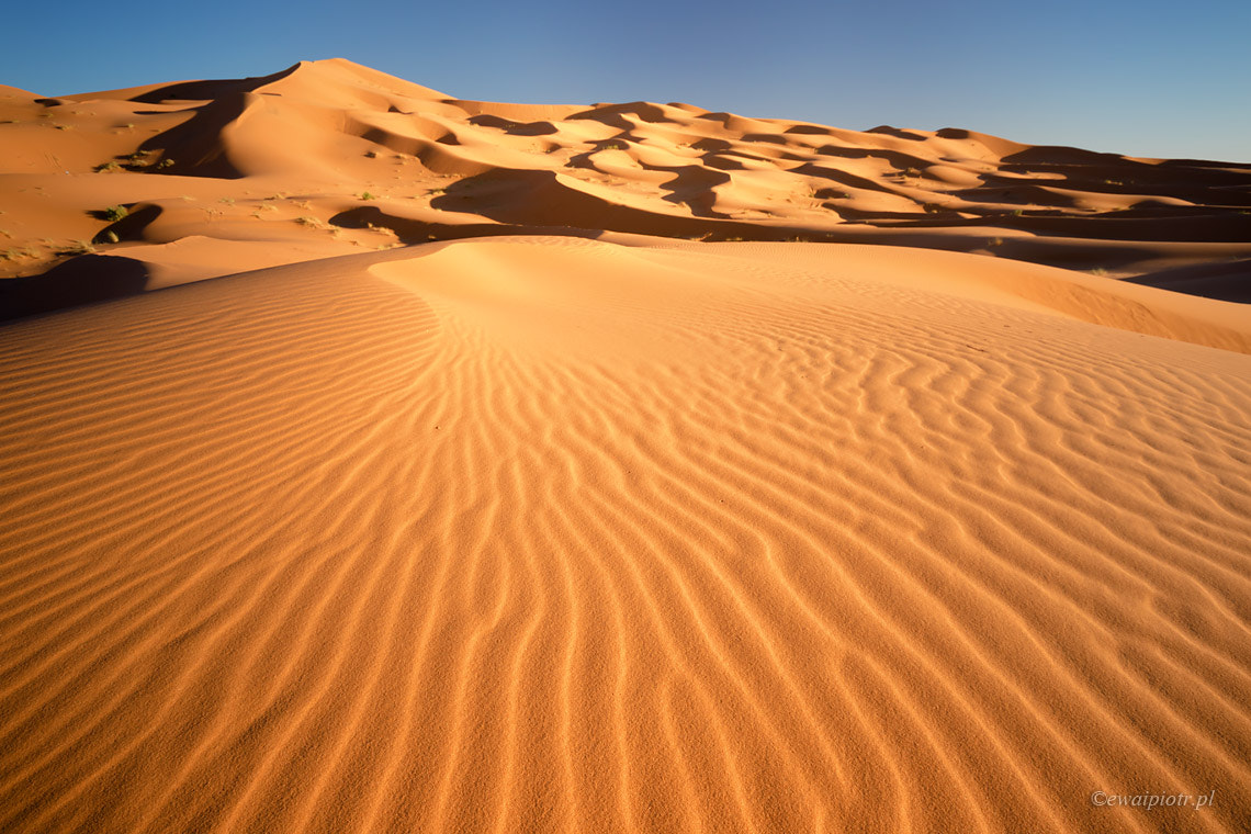Sigma 10-20mm F4-5.6 EX DC HSM sample photo. Lines on the sand photography