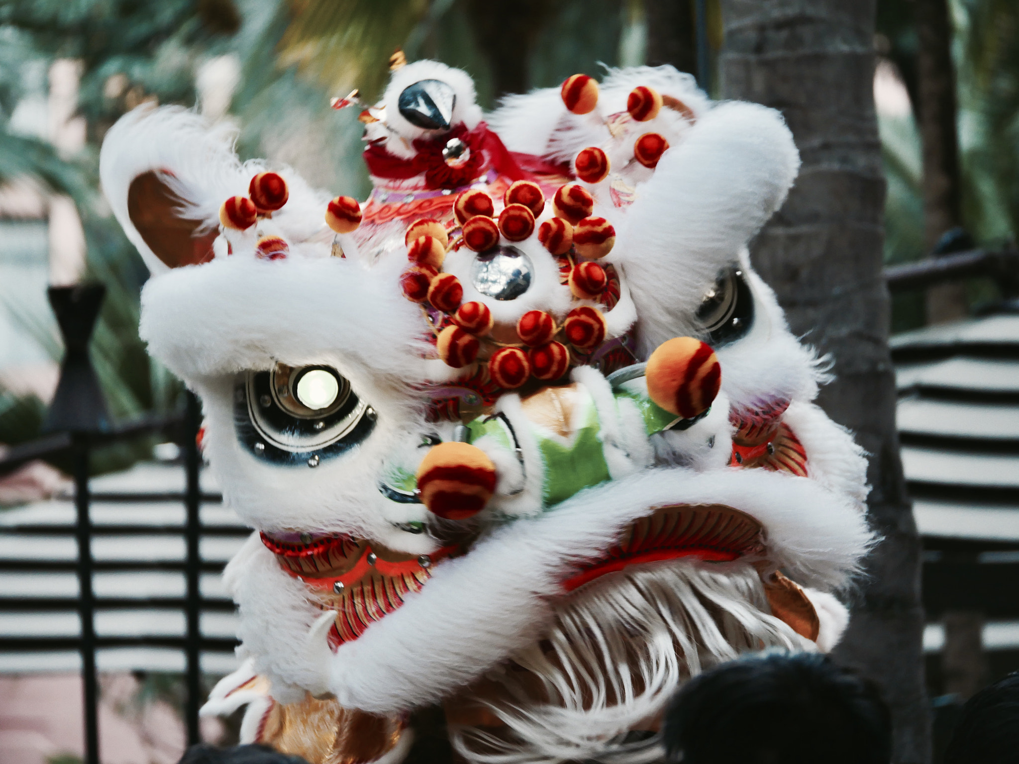 Panasonic Lumix DMC-GX8 + Panasonic Lumix G X Vario 35-100mm F2.8 OIS sample photo. Chinese new year 2017 waikiki hawaii celebration dragon photography