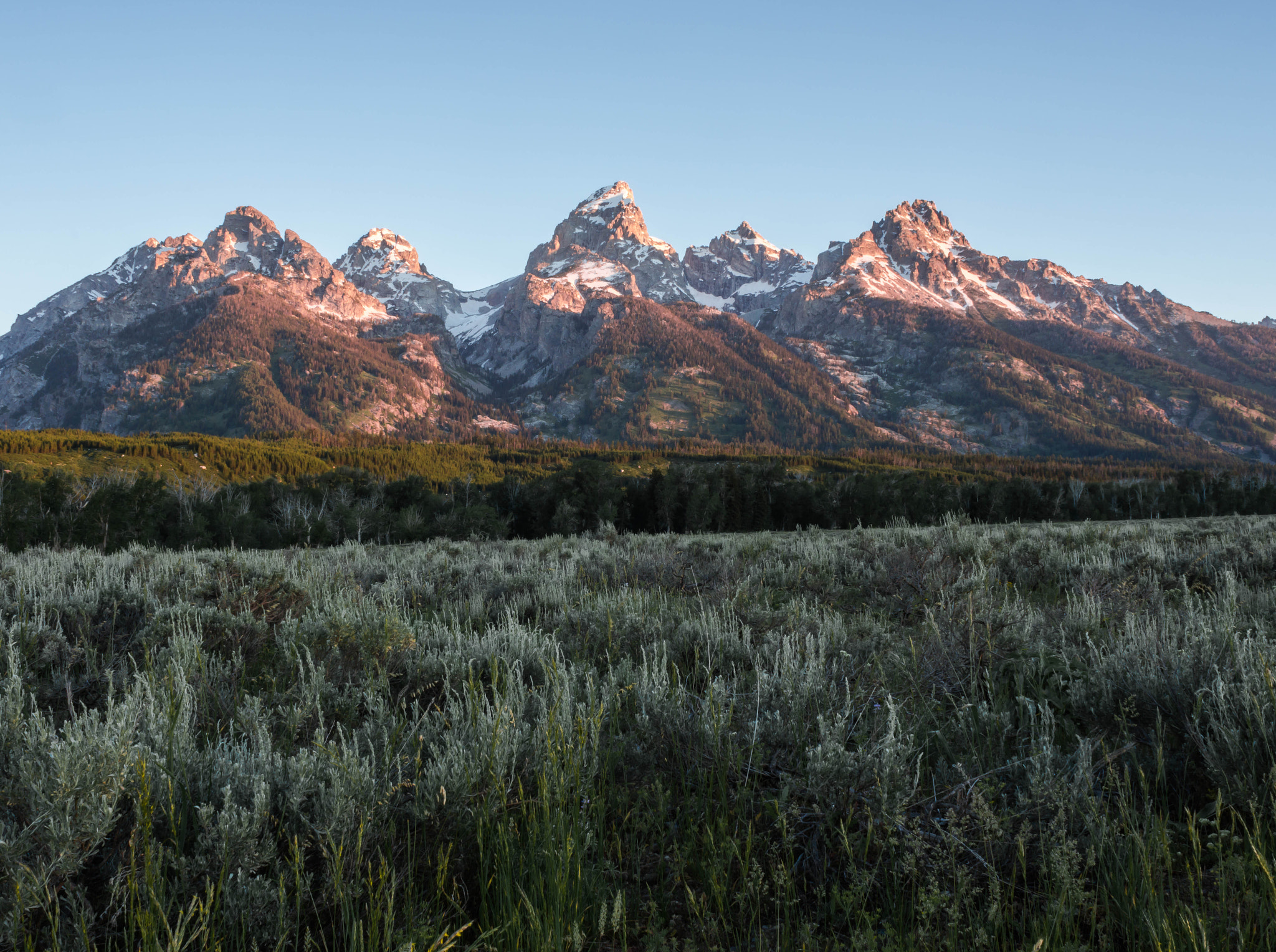 Sony SLT-A65 (SLT-A65V) + Sony 20mm F2.8 sample photo. Teton sunrise photography