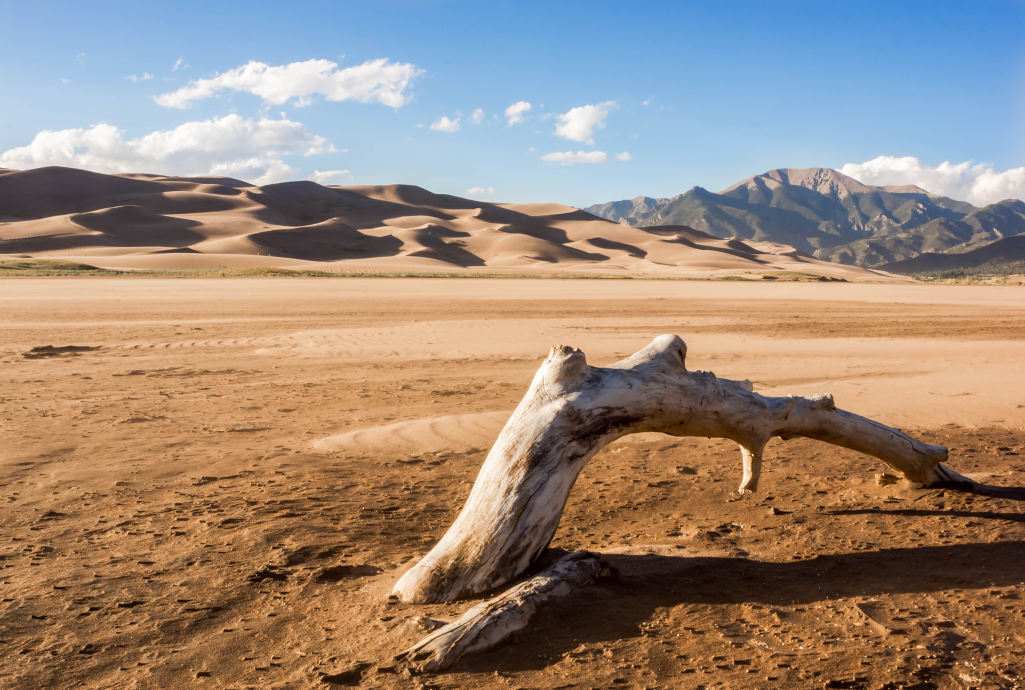 Sony SLT-A65 (SLT-A65V) sample photo. Great sand dunes photography