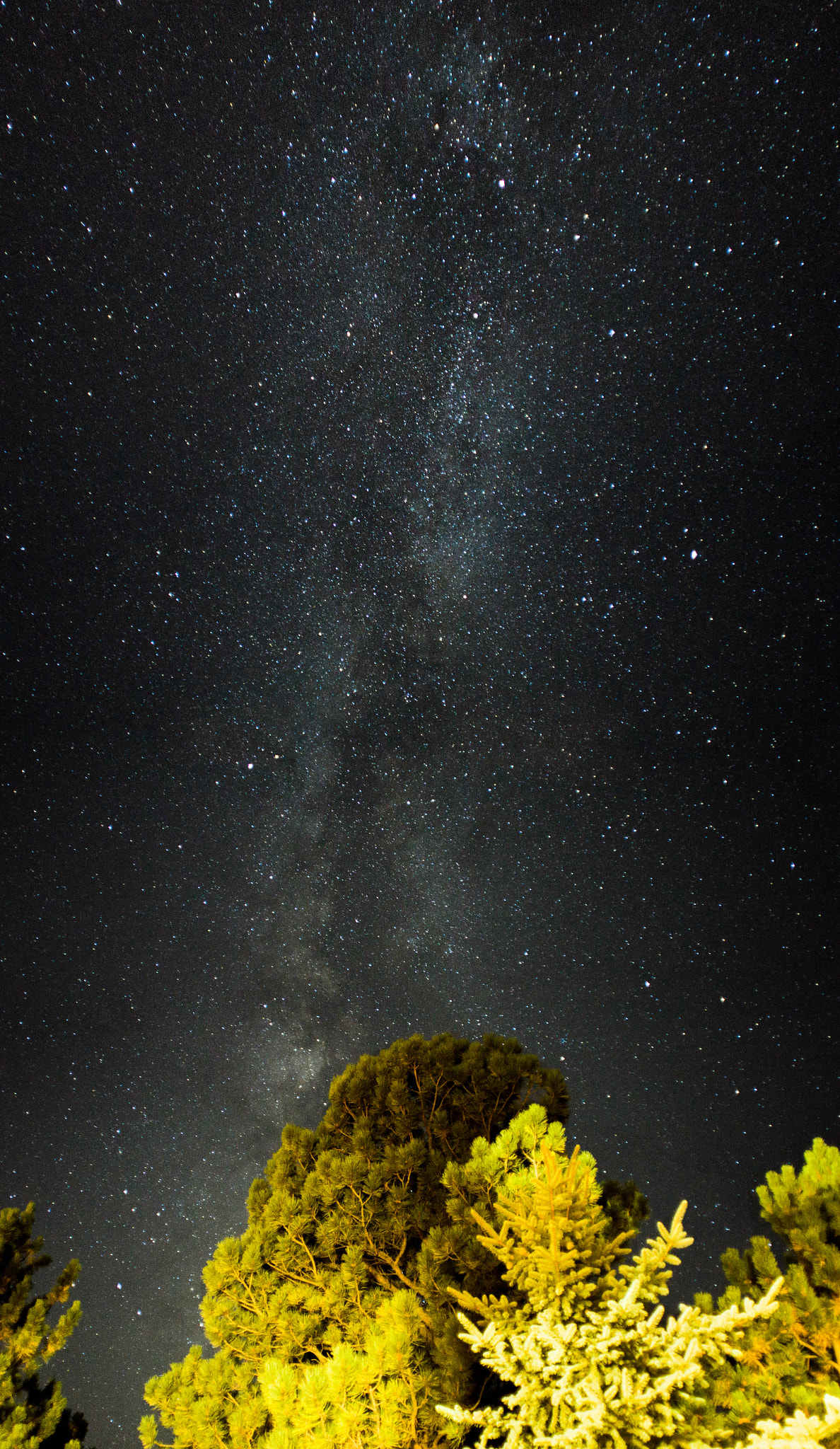 Sony SLT-A65 (SLT-A65V) + Sony 20mm F2.8 sample photo. Backyard milky way photography