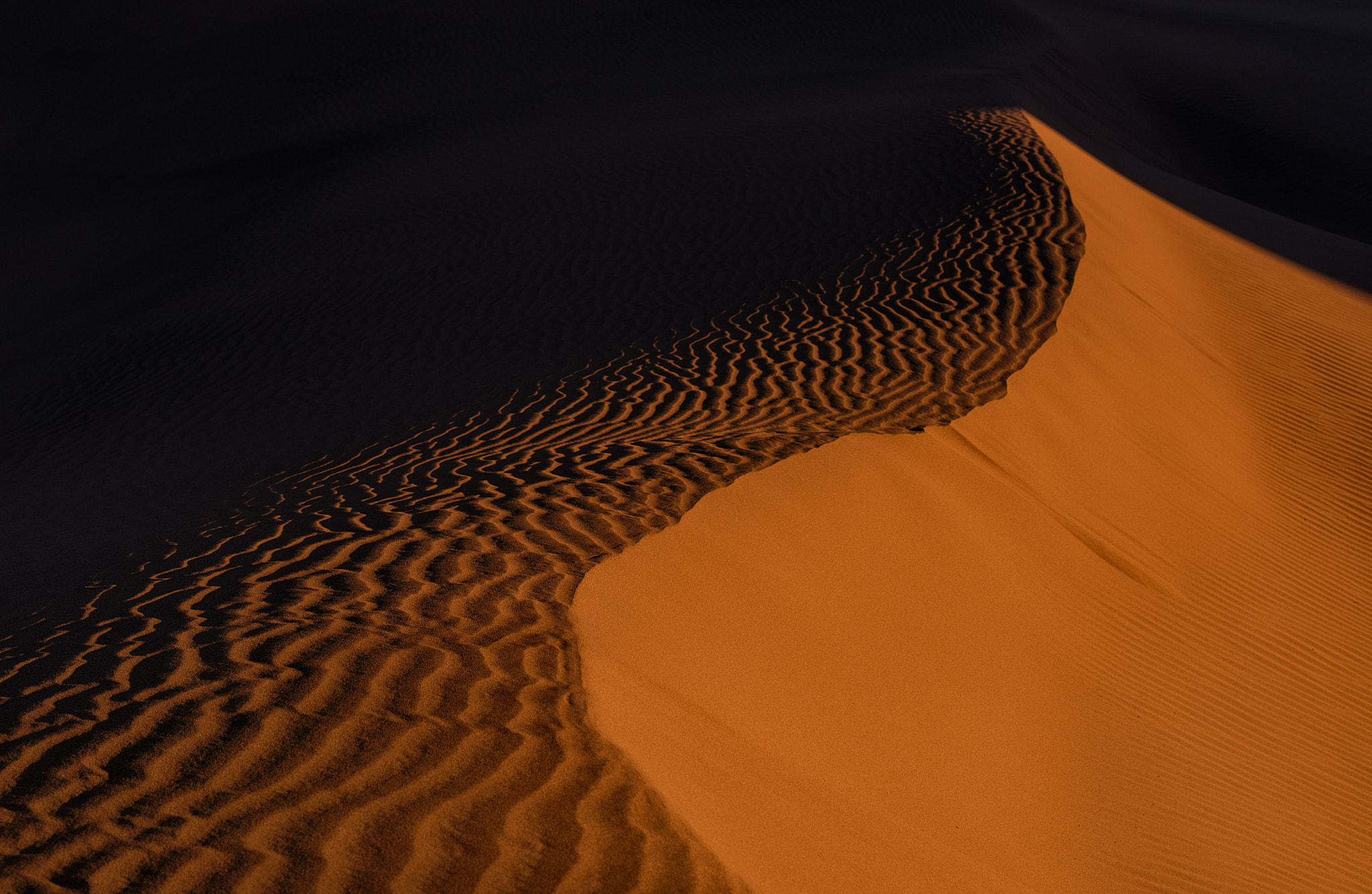 Nikon D810 + Sigma 70-200mm F2.8 EX DG Macro HSM II sample photo. Glowing mesquite dunes photography