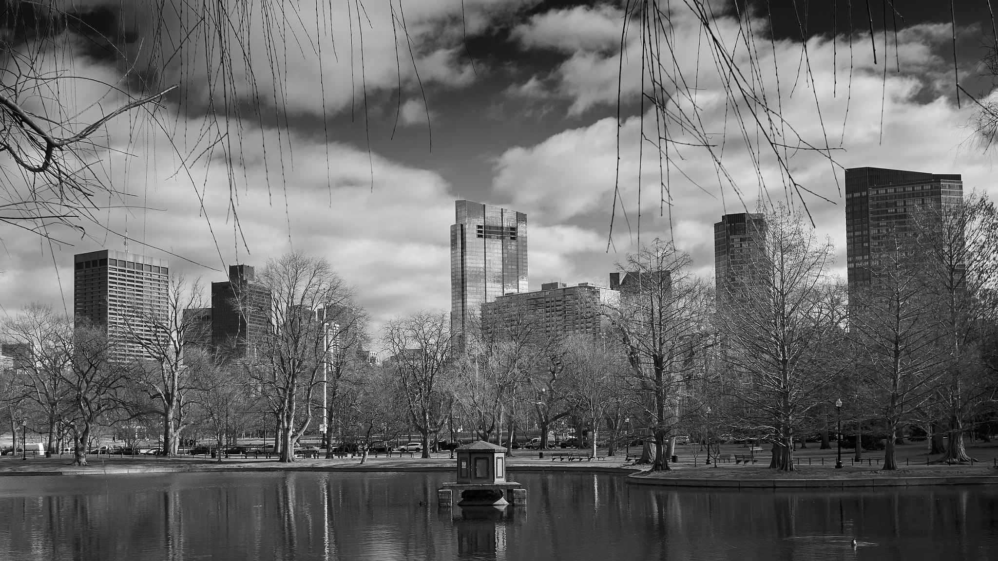 Panasonic Lumix DMC-GX85 (Lumix DMC-GX80 / Lumix DMC-GX7 Mark II) + LUMIX G 20/F1.7 II sample photo. Boston common photography