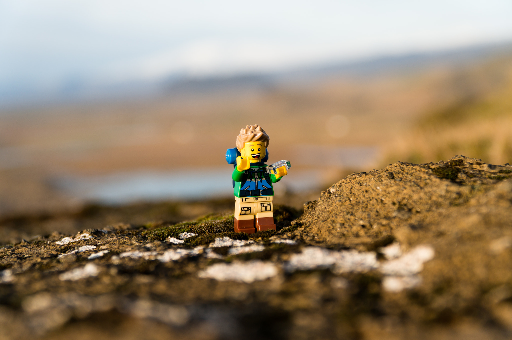 Sony Alpha NEX-6 + Sony E PZ 18-105mm F4 G OSS sample photo. Minifig in nature photography