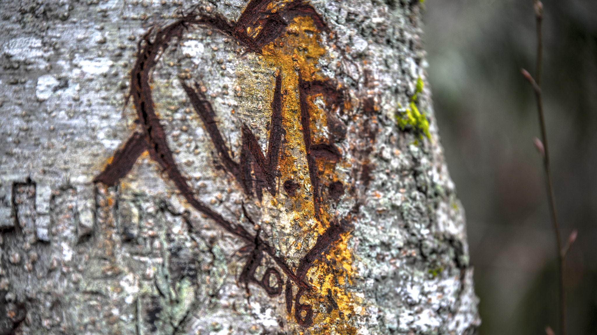 Tamron SP 70-200mm F2.8 Di VC USD sample photo. Valentine carving photography