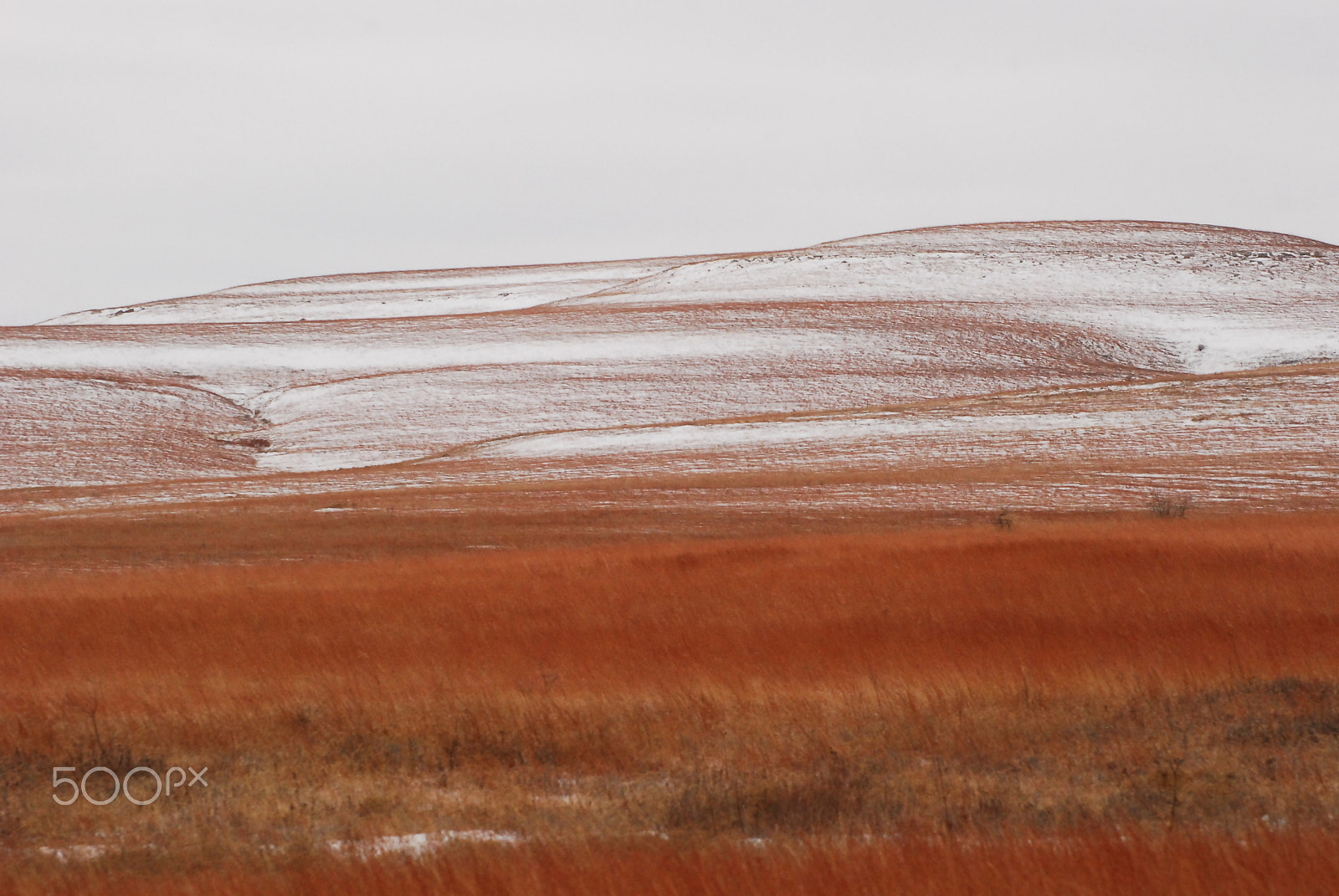Nikon D80 sample photo. Flint hills winter photography