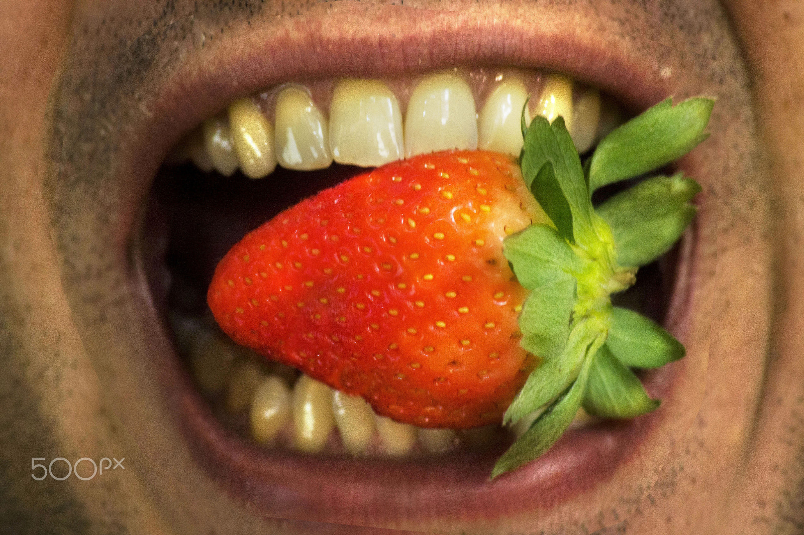 Canon EOS 40D sample photo. Strawberry photography