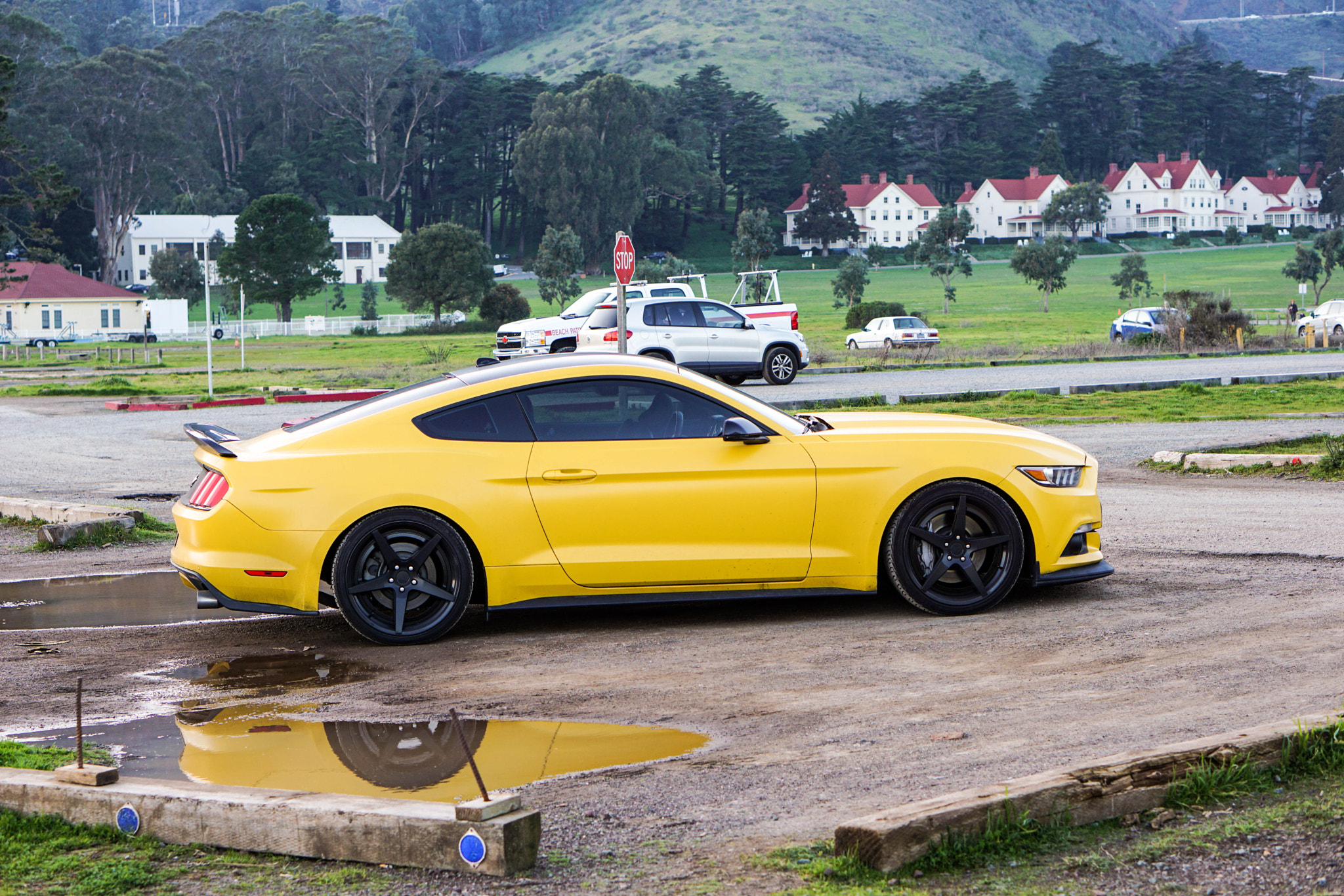 E 50mm F1.8 OSS sample photo. Yellow mustang photography