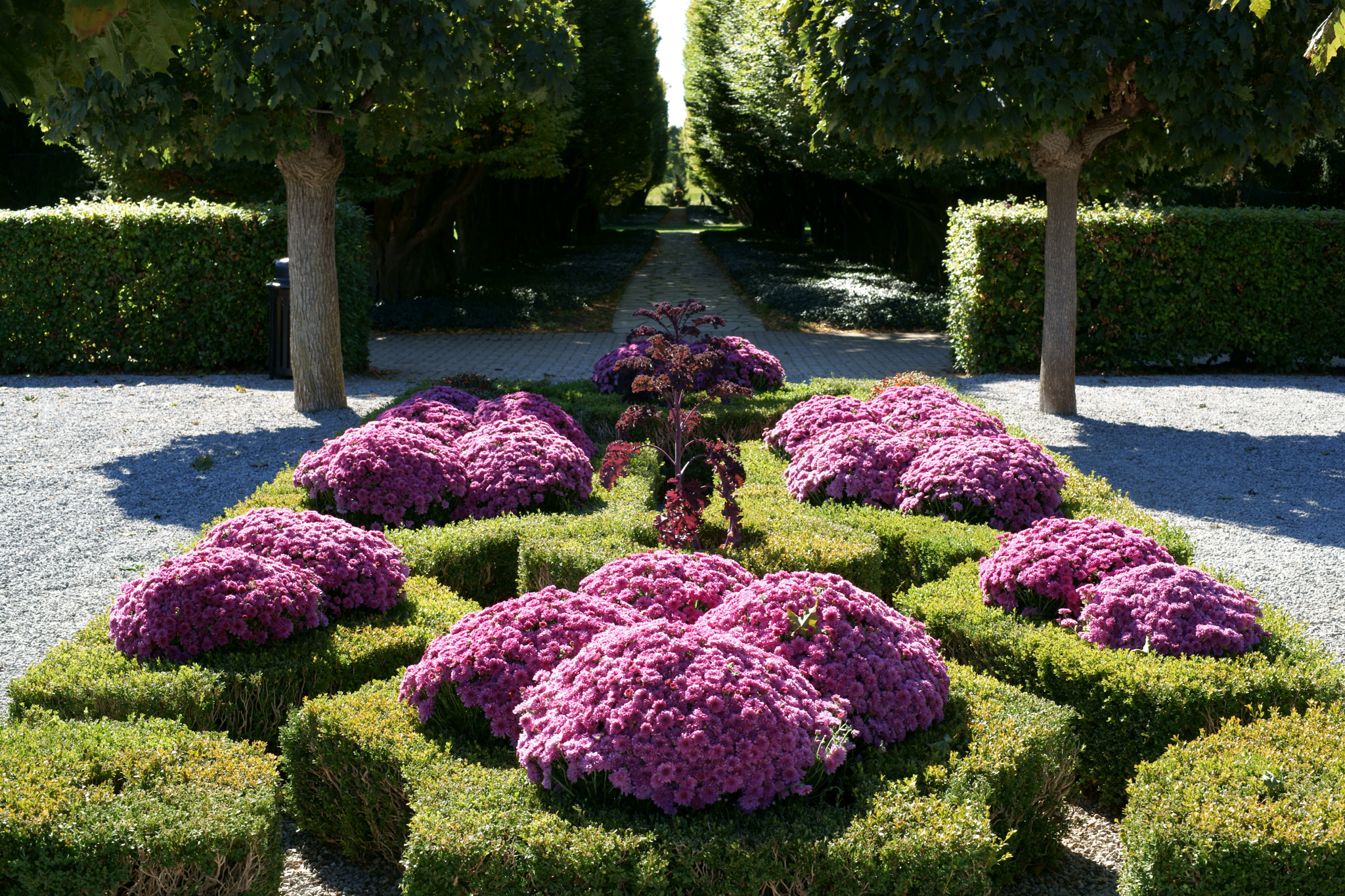 Sony Alpha DSLR-A850 sample photo. Botanical garden at niagara falls photography